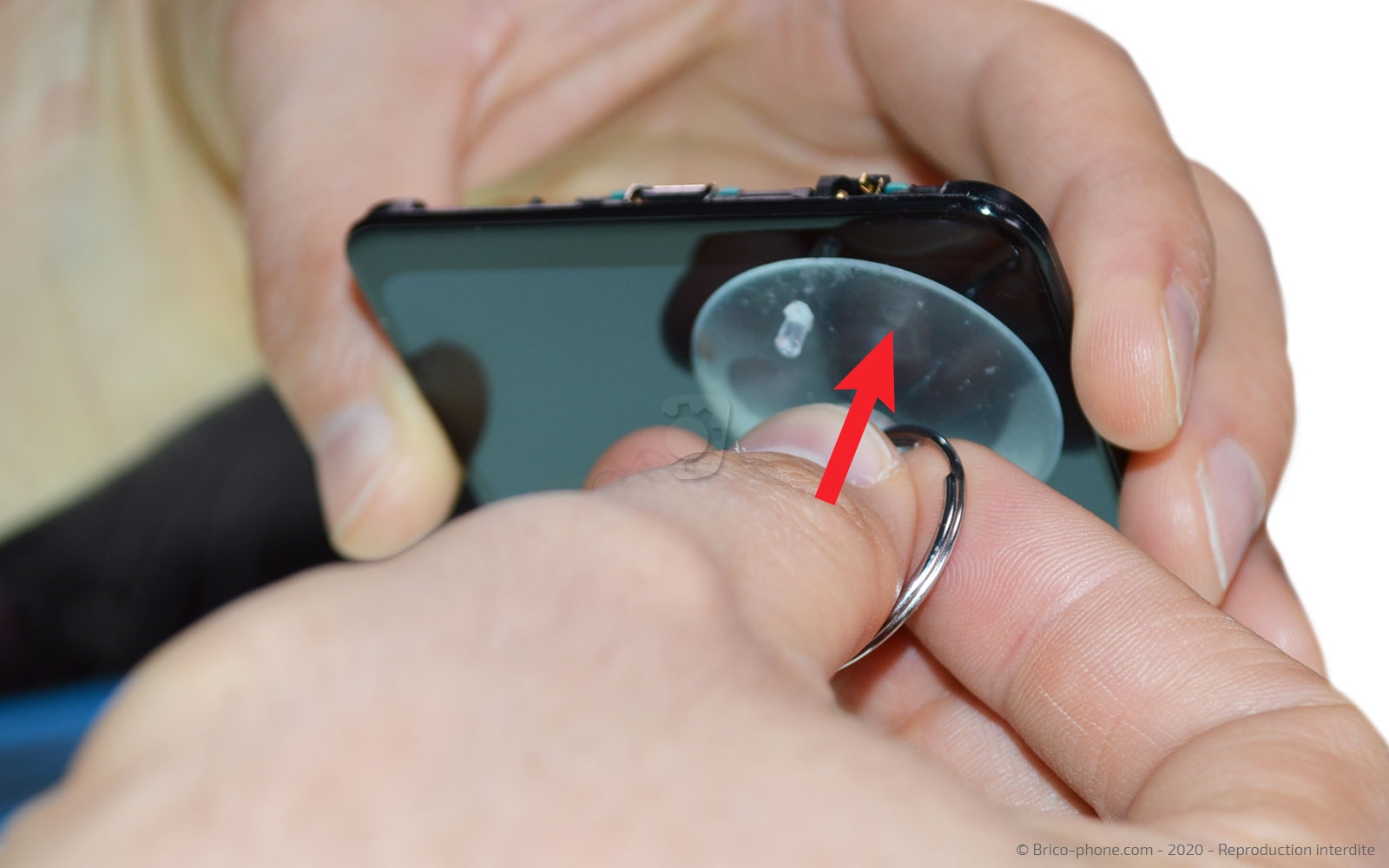 Démontage complet sur Galaxy A31 photo 3