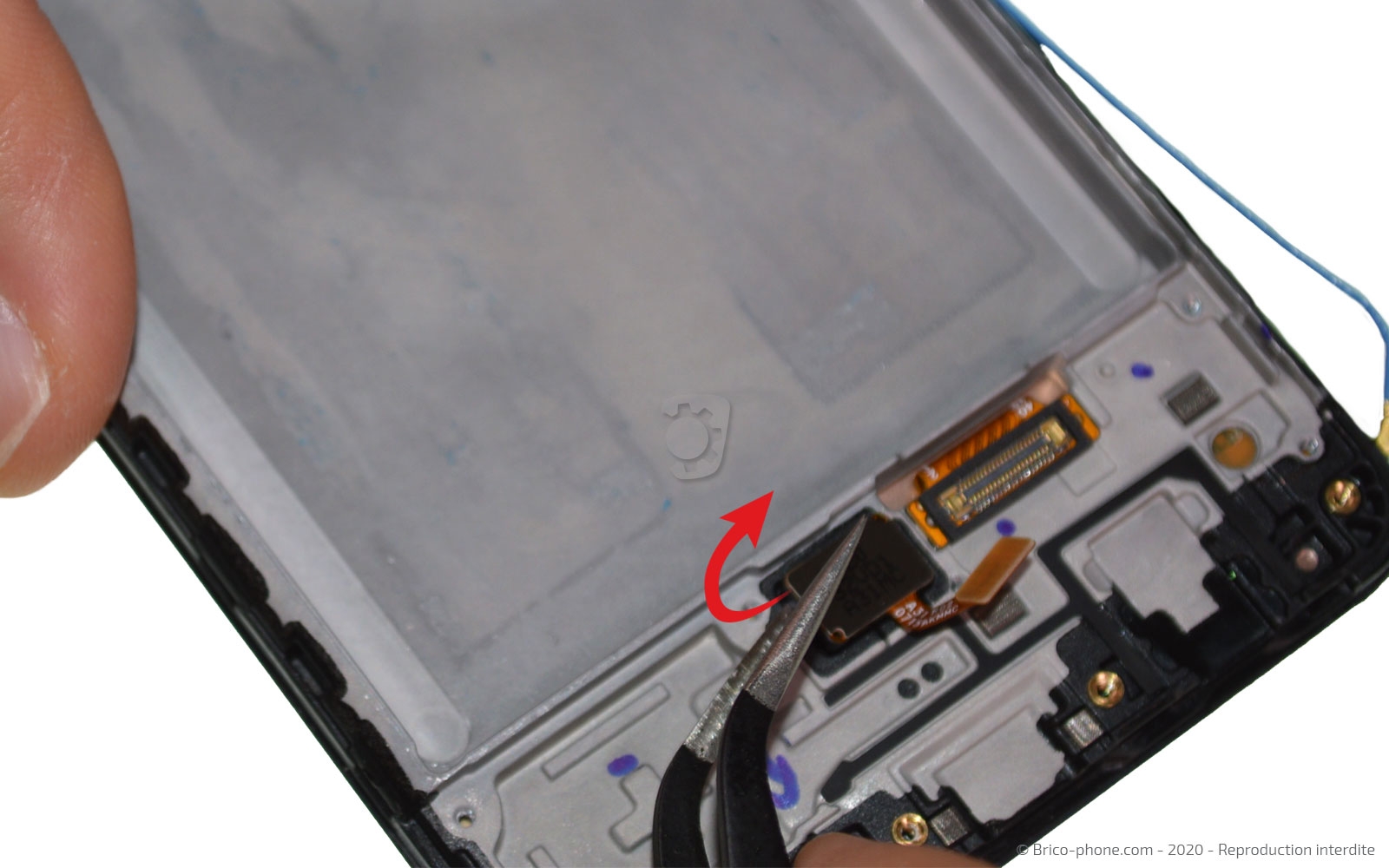 Démontage complet sur Galaxy A31 photo 2