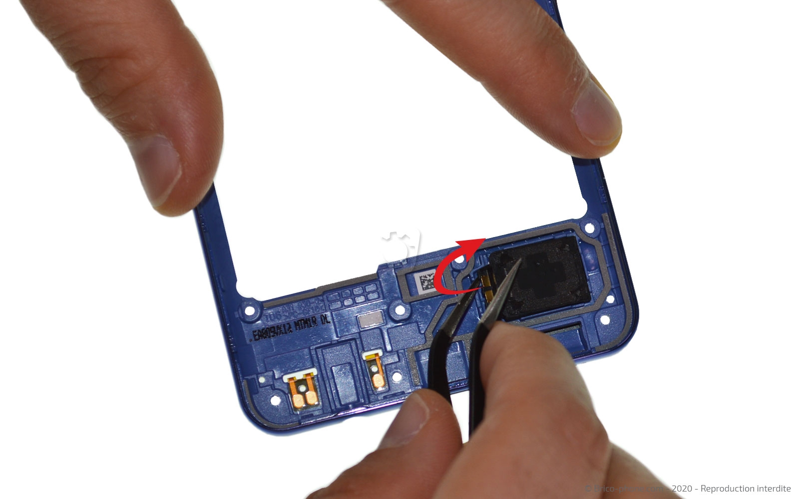 Démontage complet sur Galaxy A31 photo 2