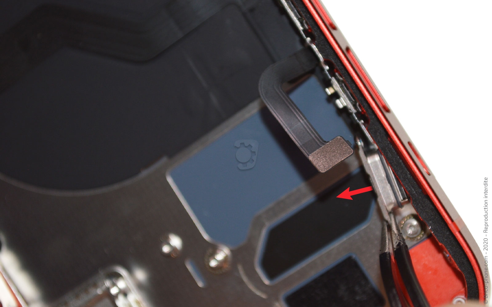 Démontage complet sur iPhone 12 photo 1