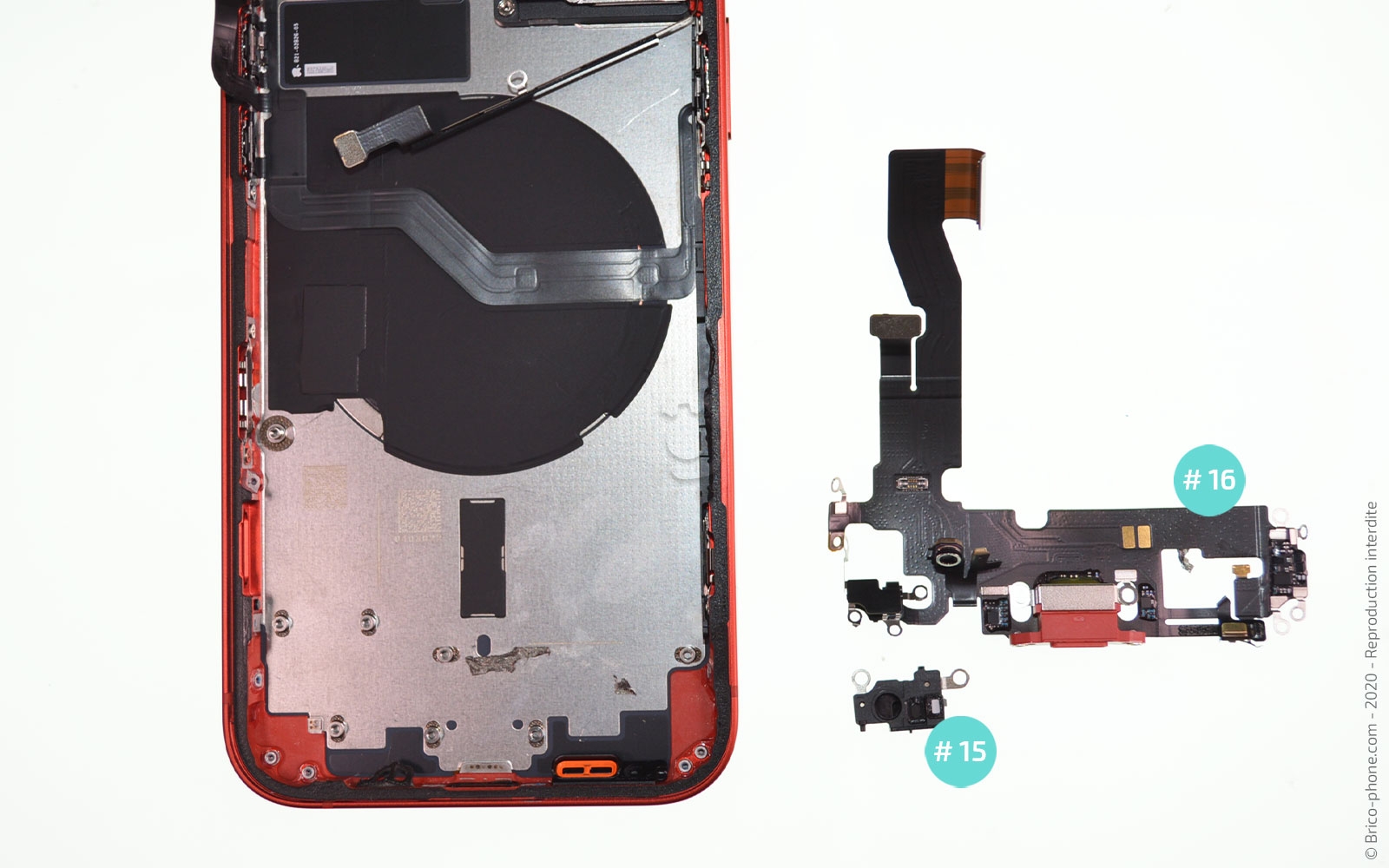 Démontage complet sur iPhone 12 photo 4