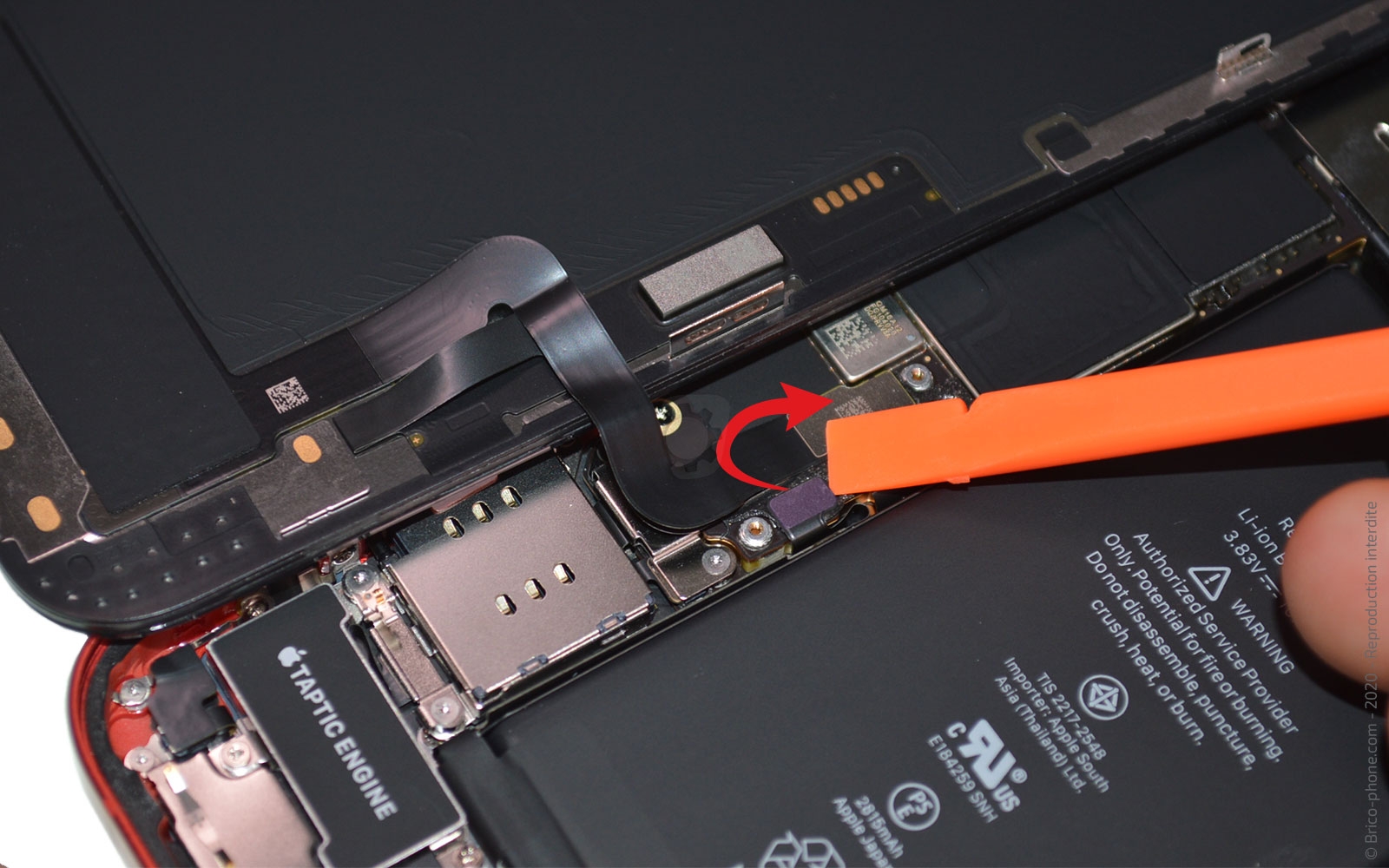 Démontage complet sur iPhone 12 photo 4