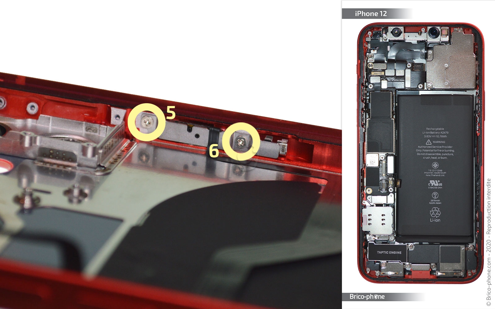 Démontage complet sur iPhone 12 photo 3