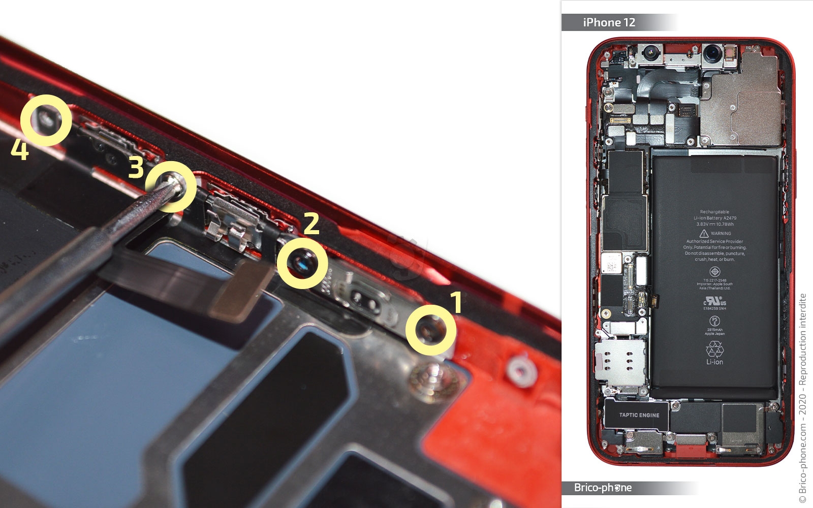 Démontage complet sur iPhone 12 photo 4