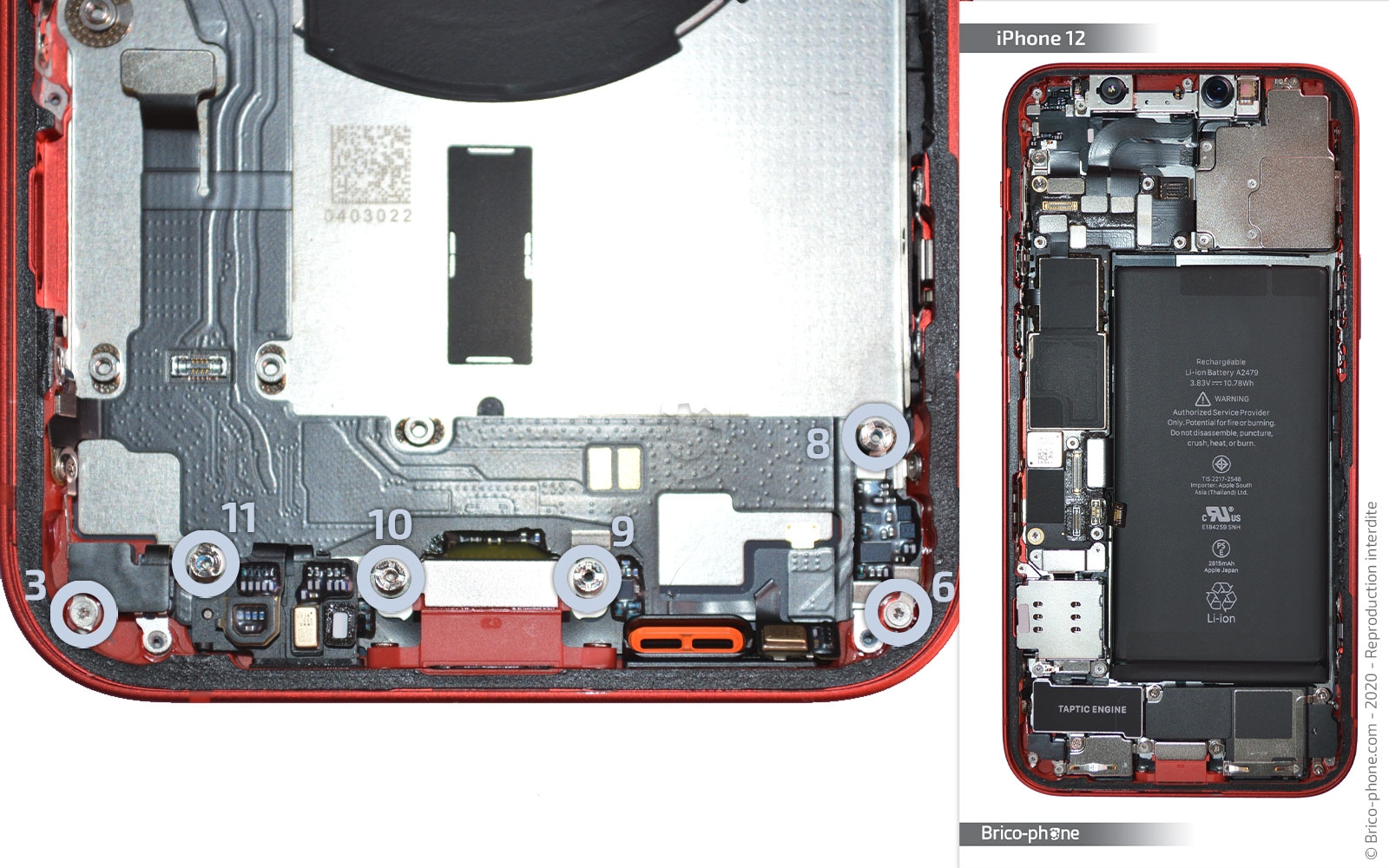 Démontage complet sur iPhone 12 photo 1