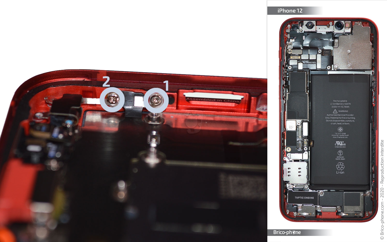 Démontage complet sur iPhone 12 photo 2