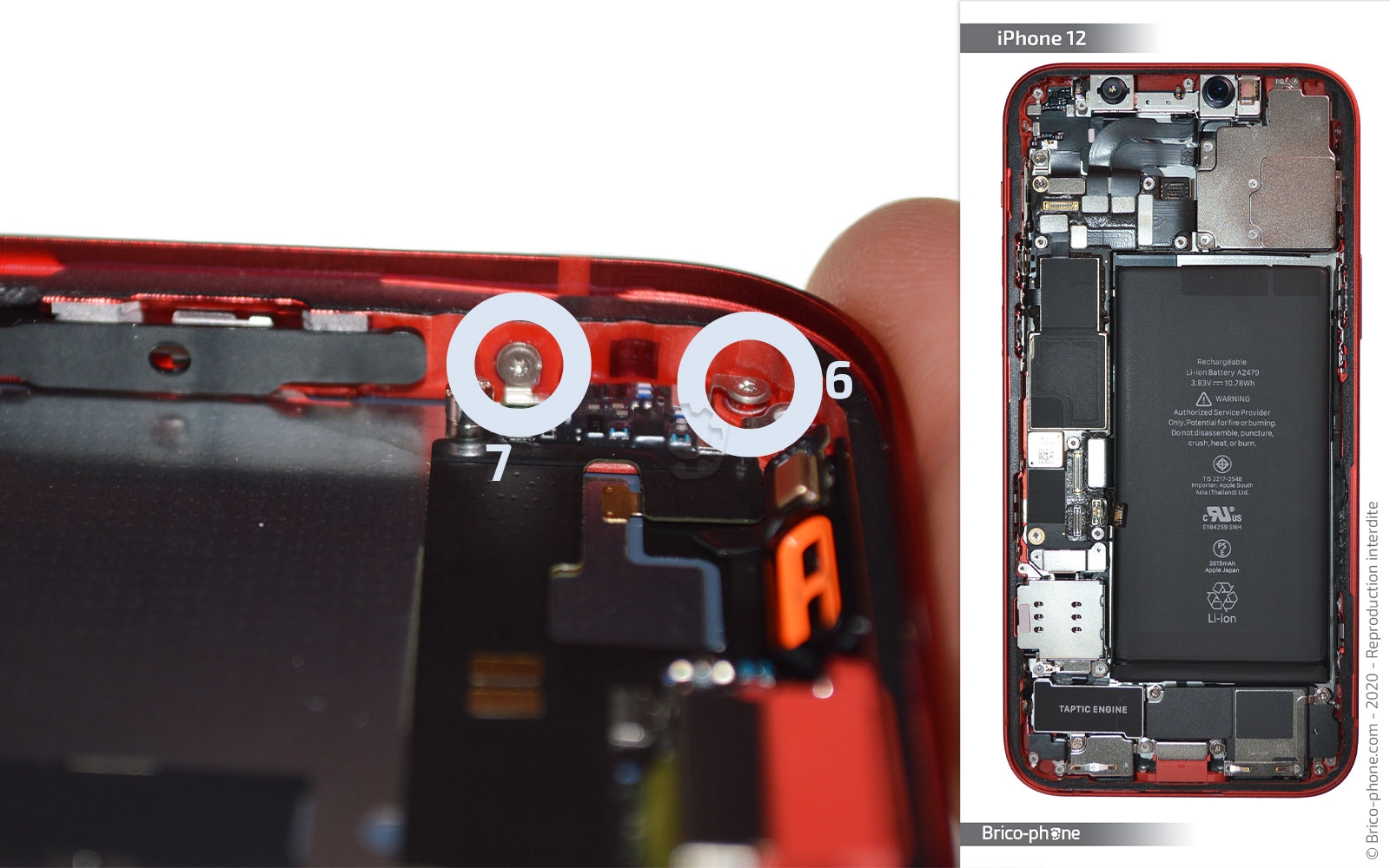 Démontage complet sur iPhone 12 photo 4