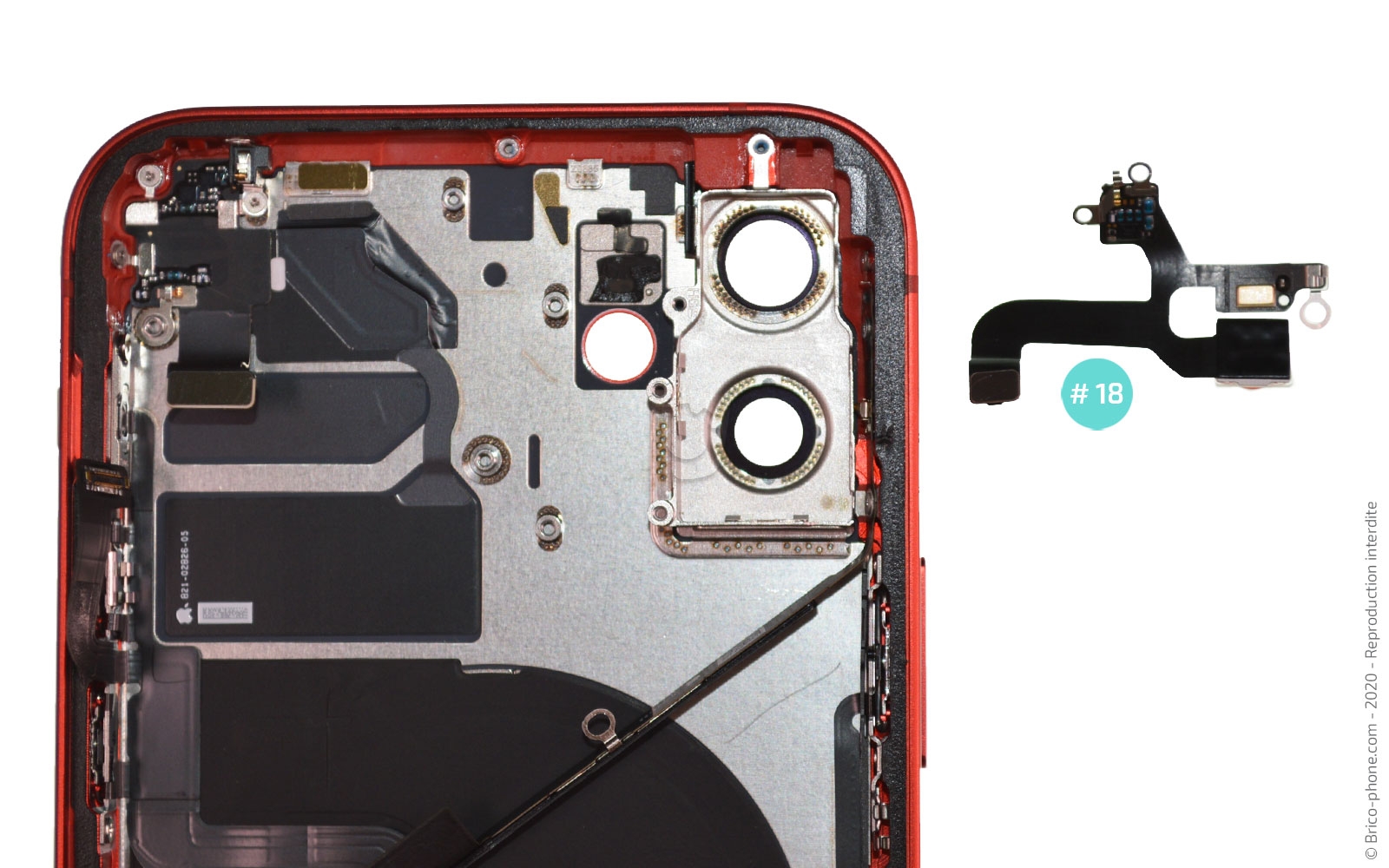 Démontage complet sur iPhone 12 photo 4