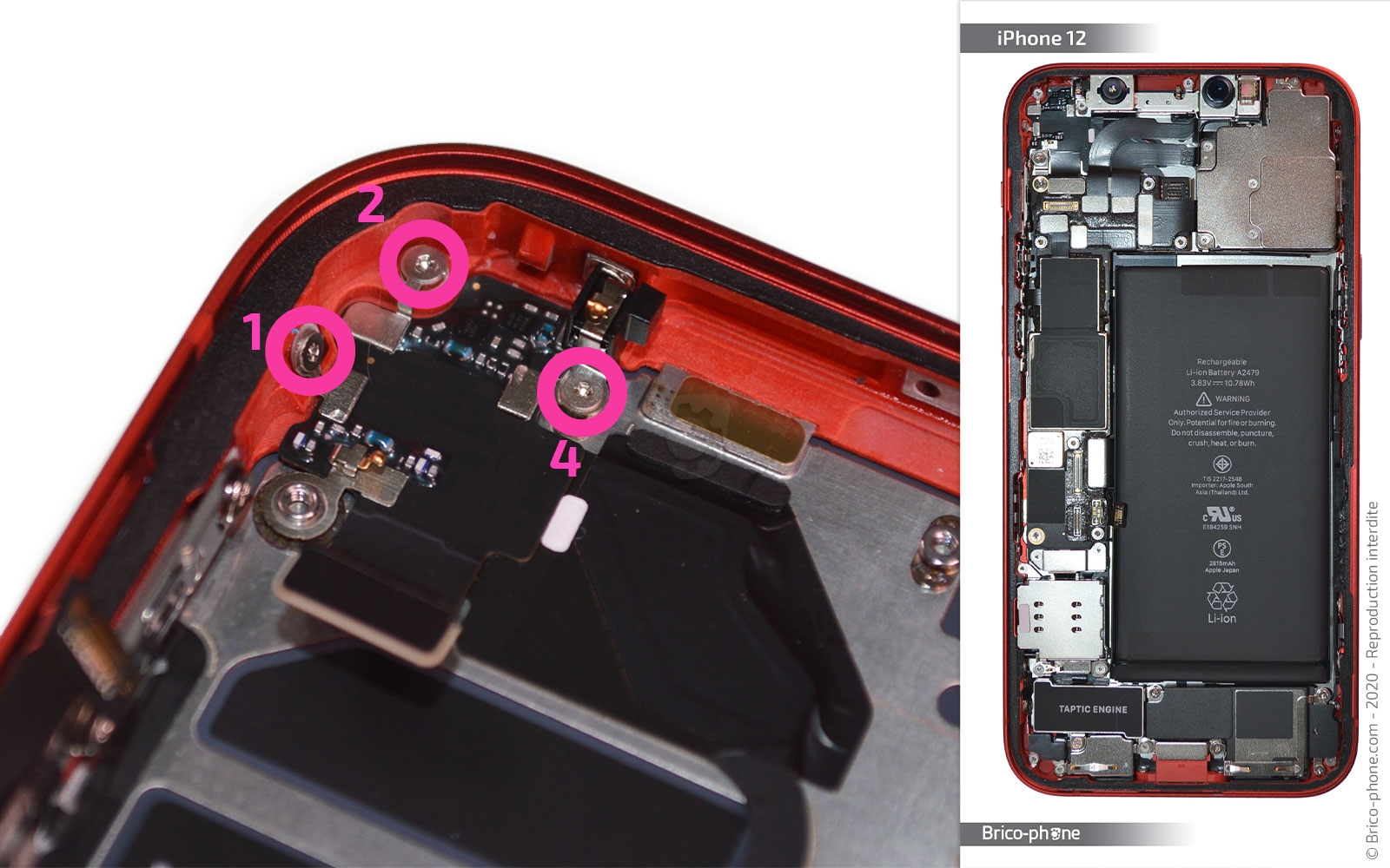 Démontage complet sur iPhone 12 photo 1