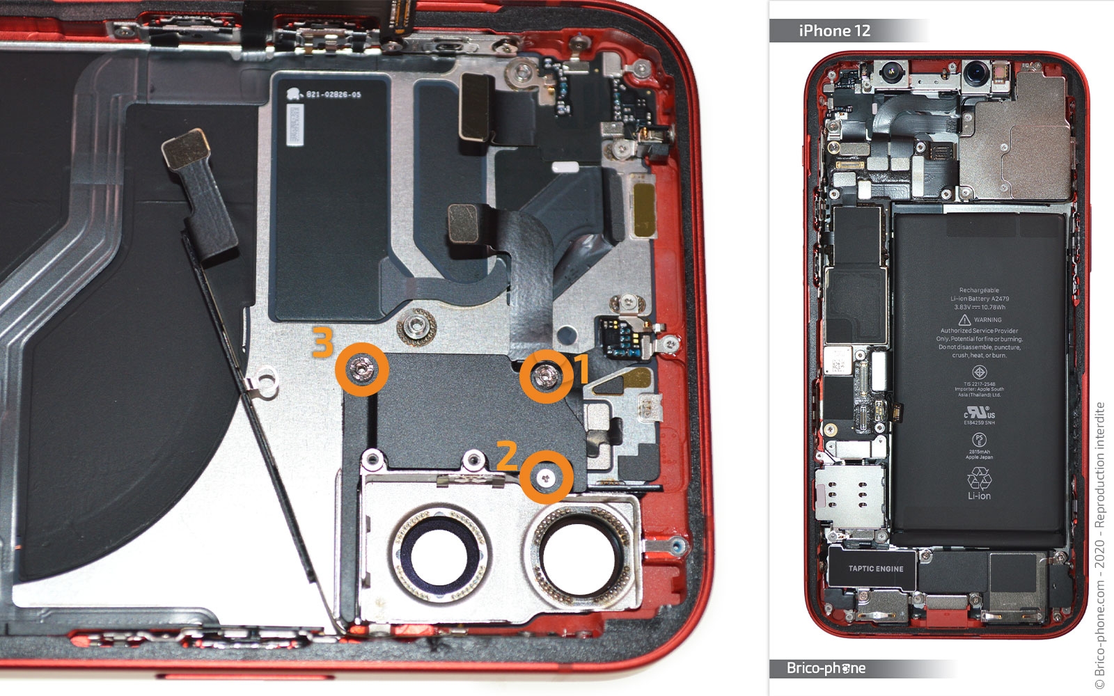 Démontage complet sur iPhone 12 photo 1