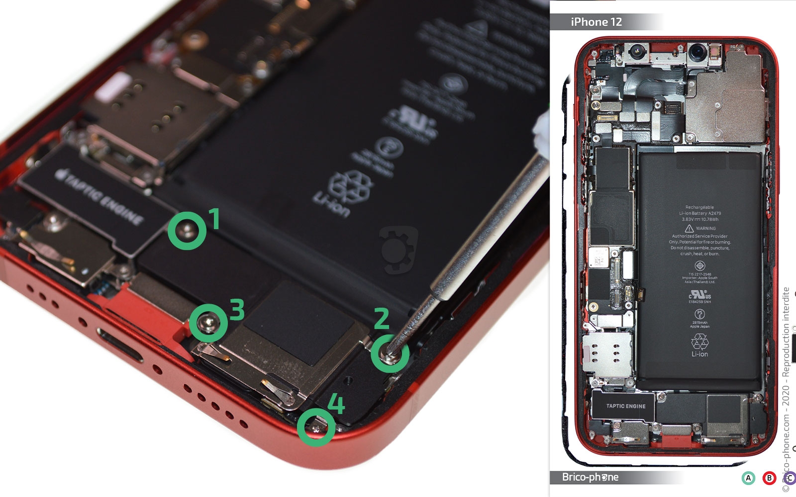 Démontage complet sur iPhone 12 photo 1