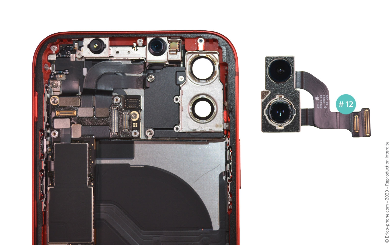 Démontage complet sur iPhone 12 photo 4