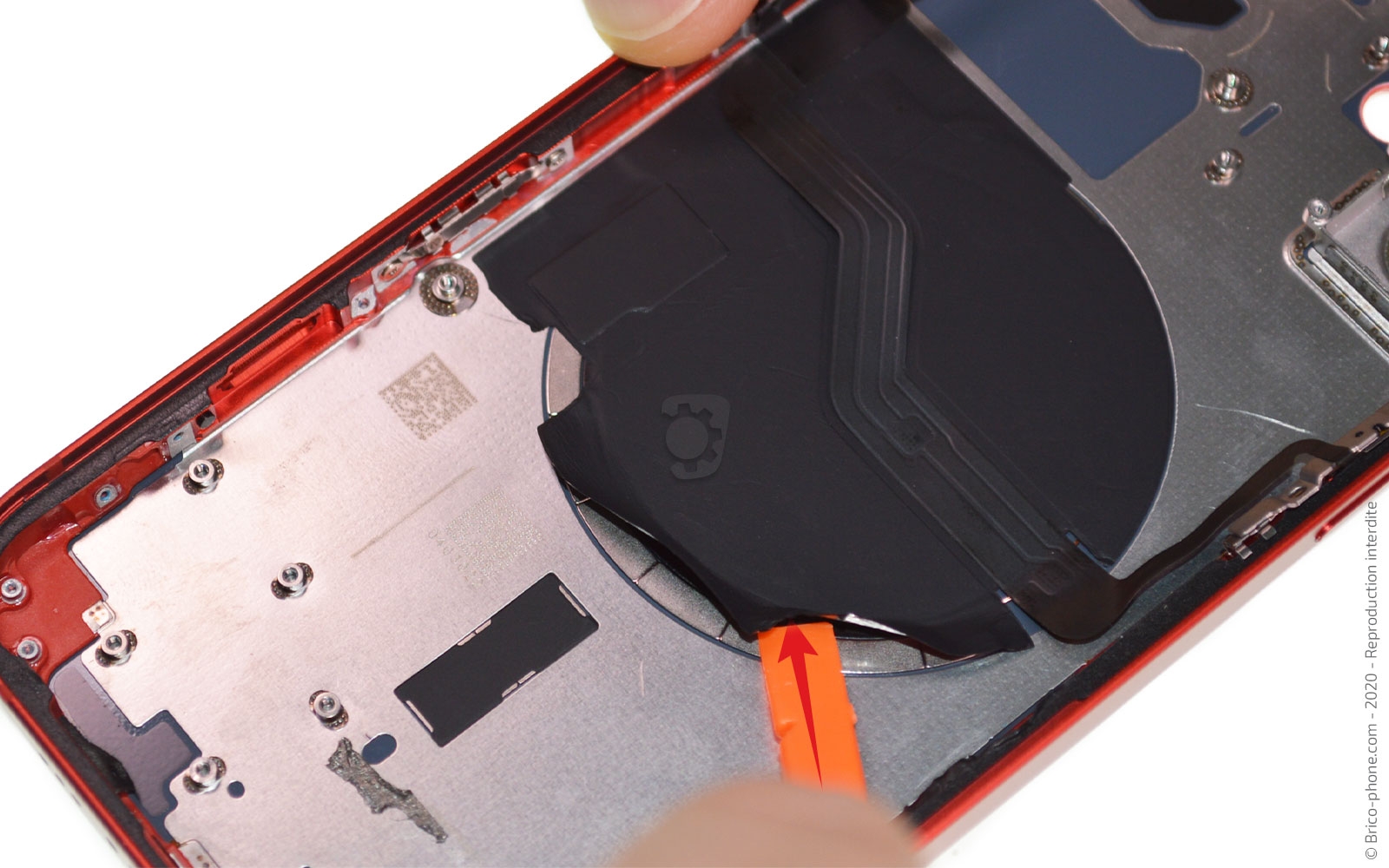 Démontage complet sur iPhone 12 photo 1