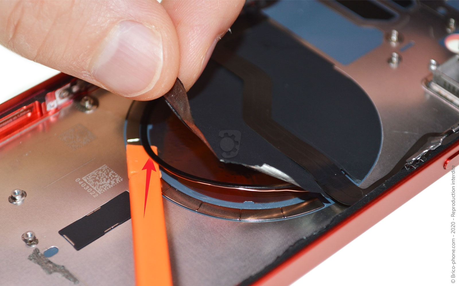 Démontage complet sur iPhone 12 photo 2