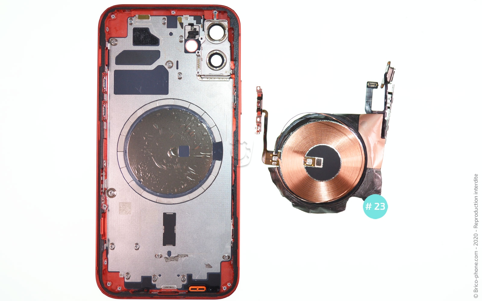 Démontage complet sur iPhone 12 photo 3