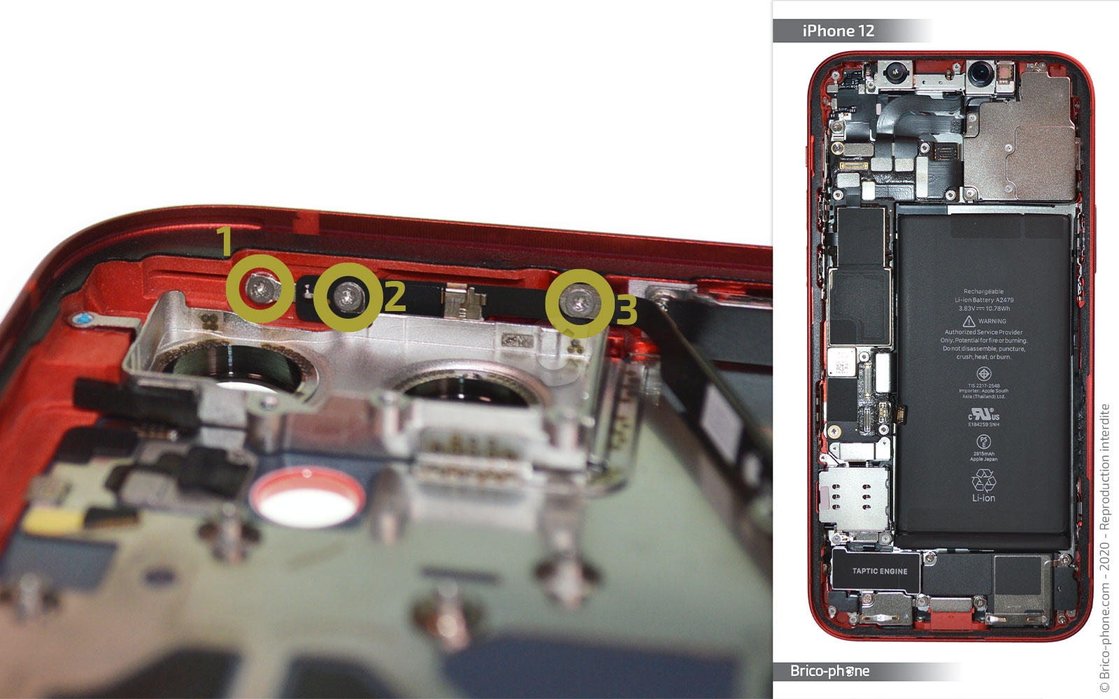 Démontage complet sur iPhone 12 photo 1