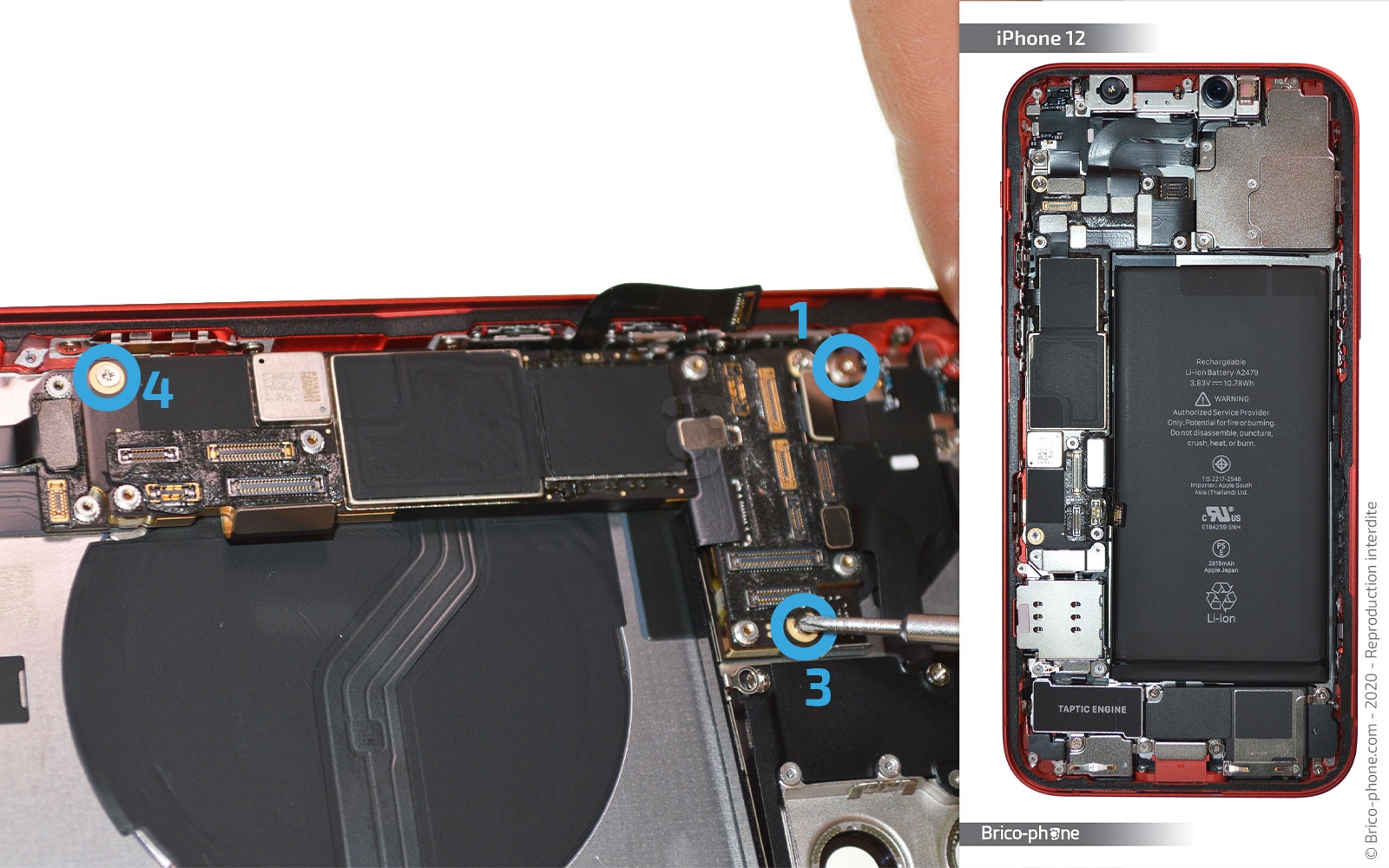 Démontage complet sur iPhone 12 photo 1