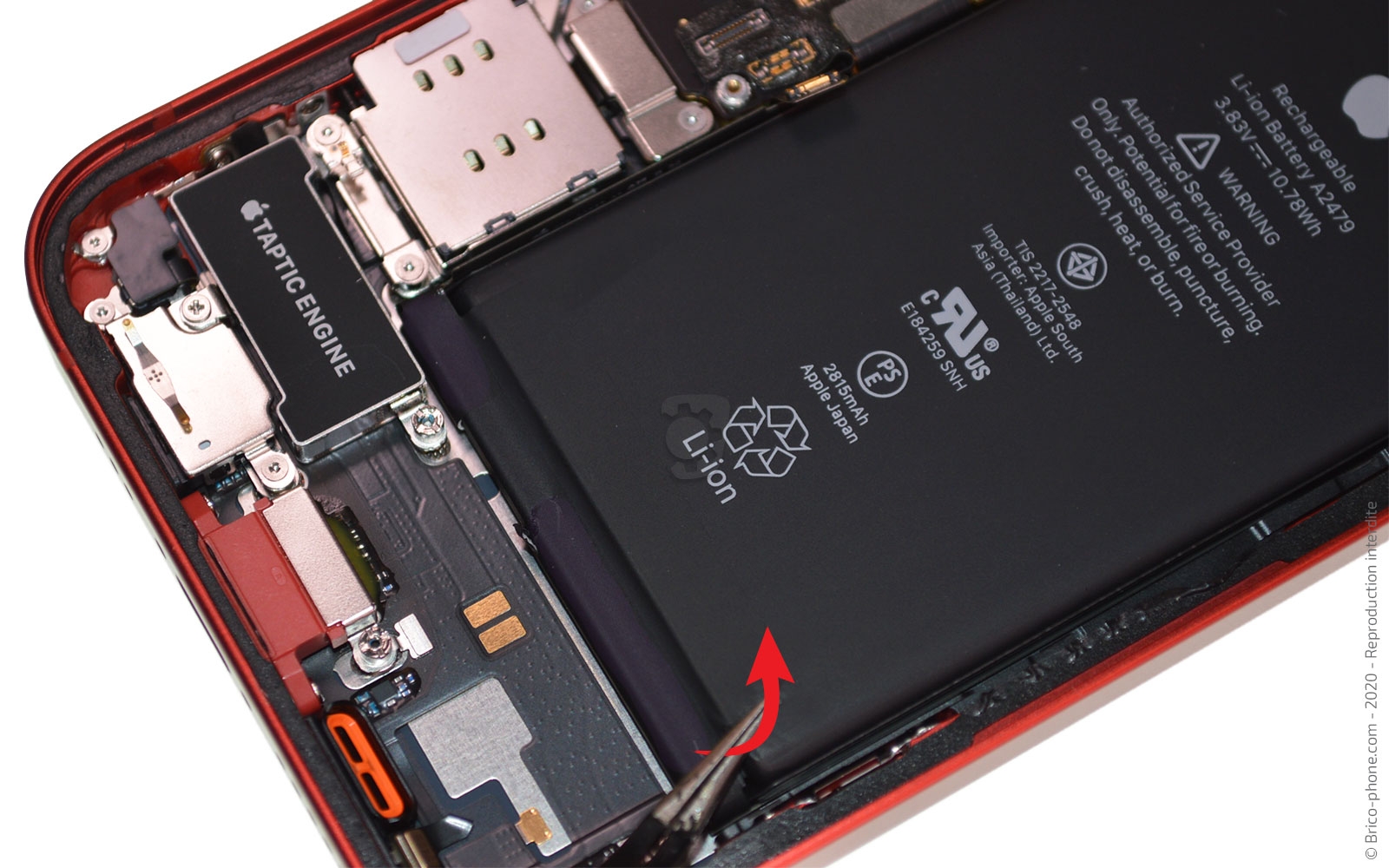 Démontage complet sur iPhone 12 photo 2