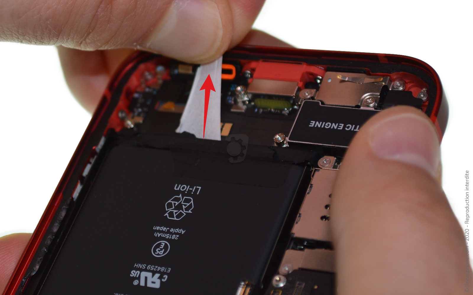 Démontage complet sur iPhone 12 photo 3