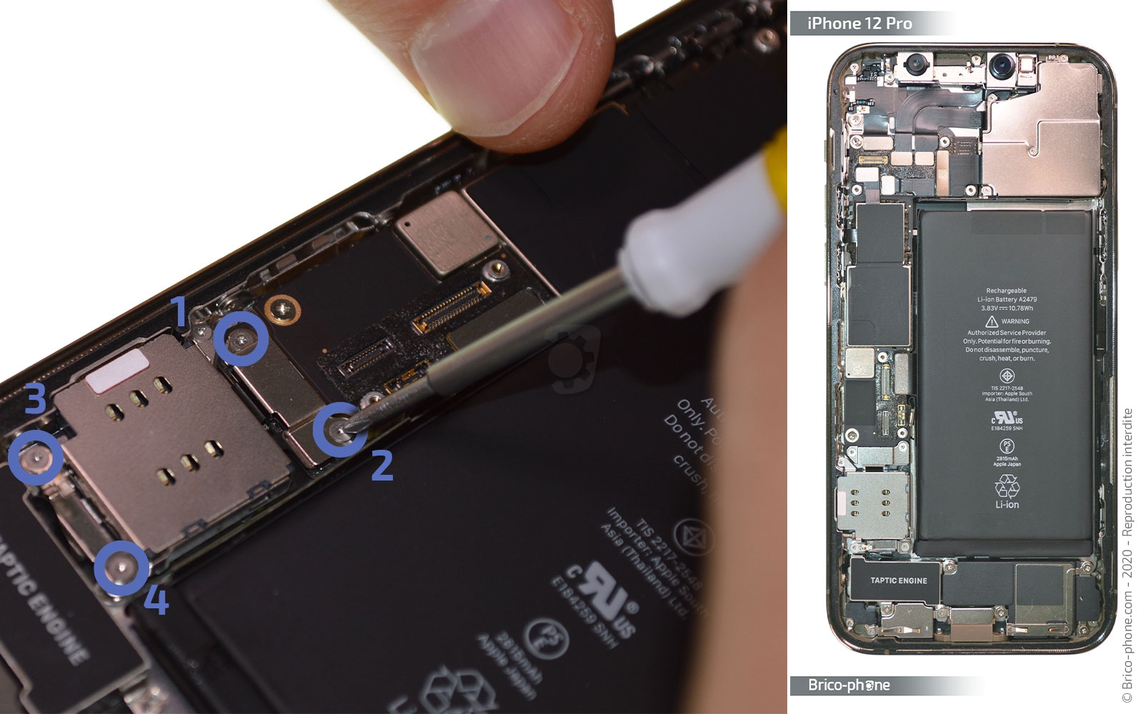 Remplacer le connecteur de charge sur iPhone 12 Pro photo 1
