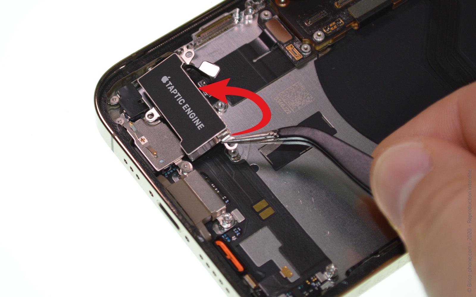 Remplacement du Taptic Engine (vibreur) sur iPhone 12 Pro photo 1