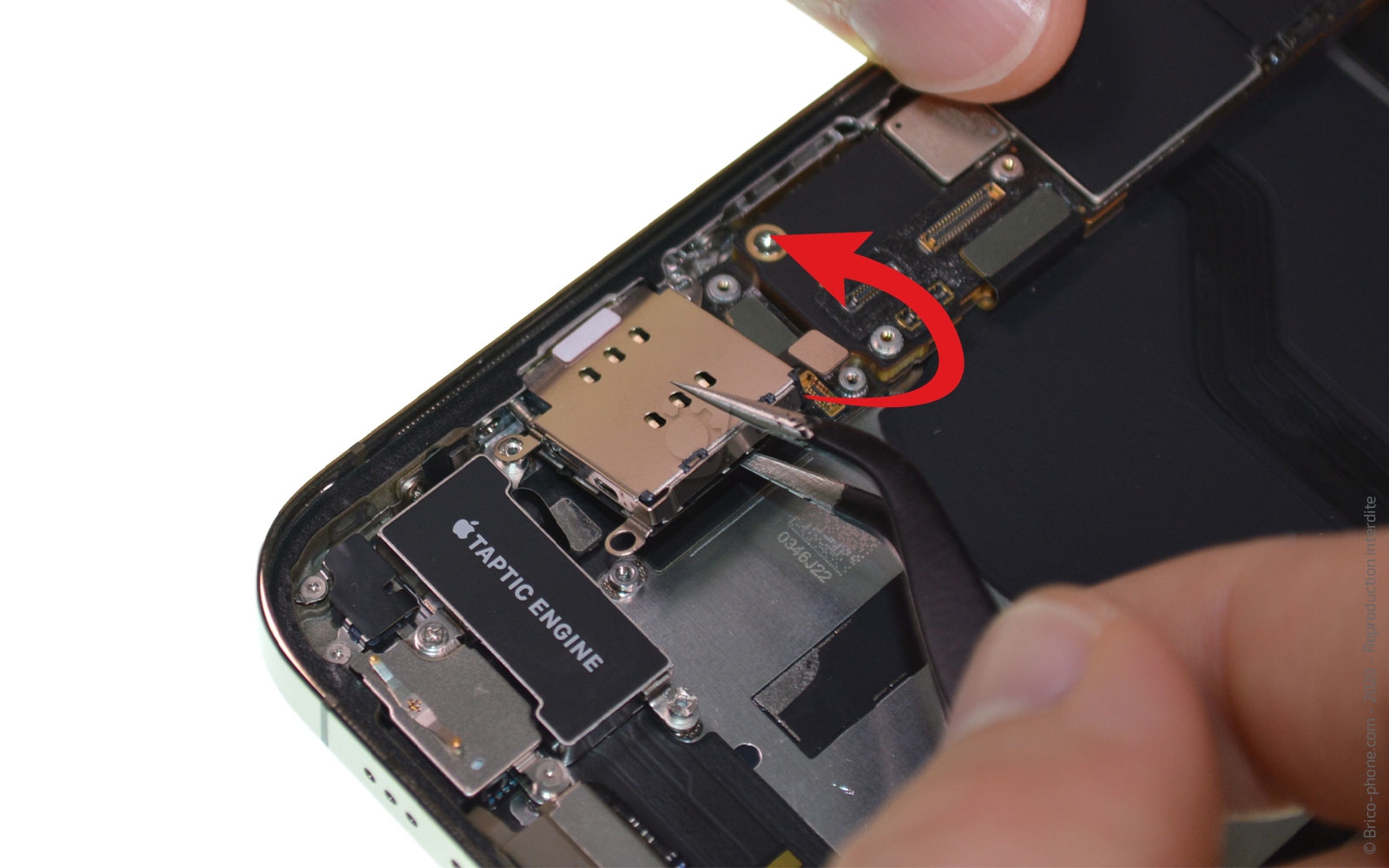 Remplacement du Taptic Engine (vibreur) sur iPhone 12 Pro photo 3