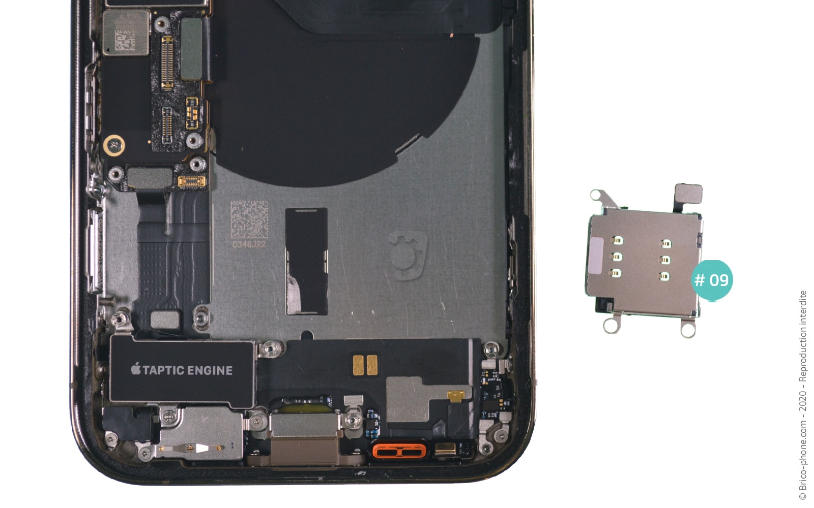 Remplacement du Taptic Engine (vibreur) sur iPhone 12 Pro photo 4