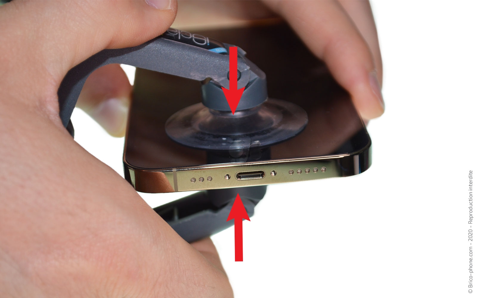 Remplacement du Taptic Engine (vibreur) sur iPhone 12 Pro photo 1