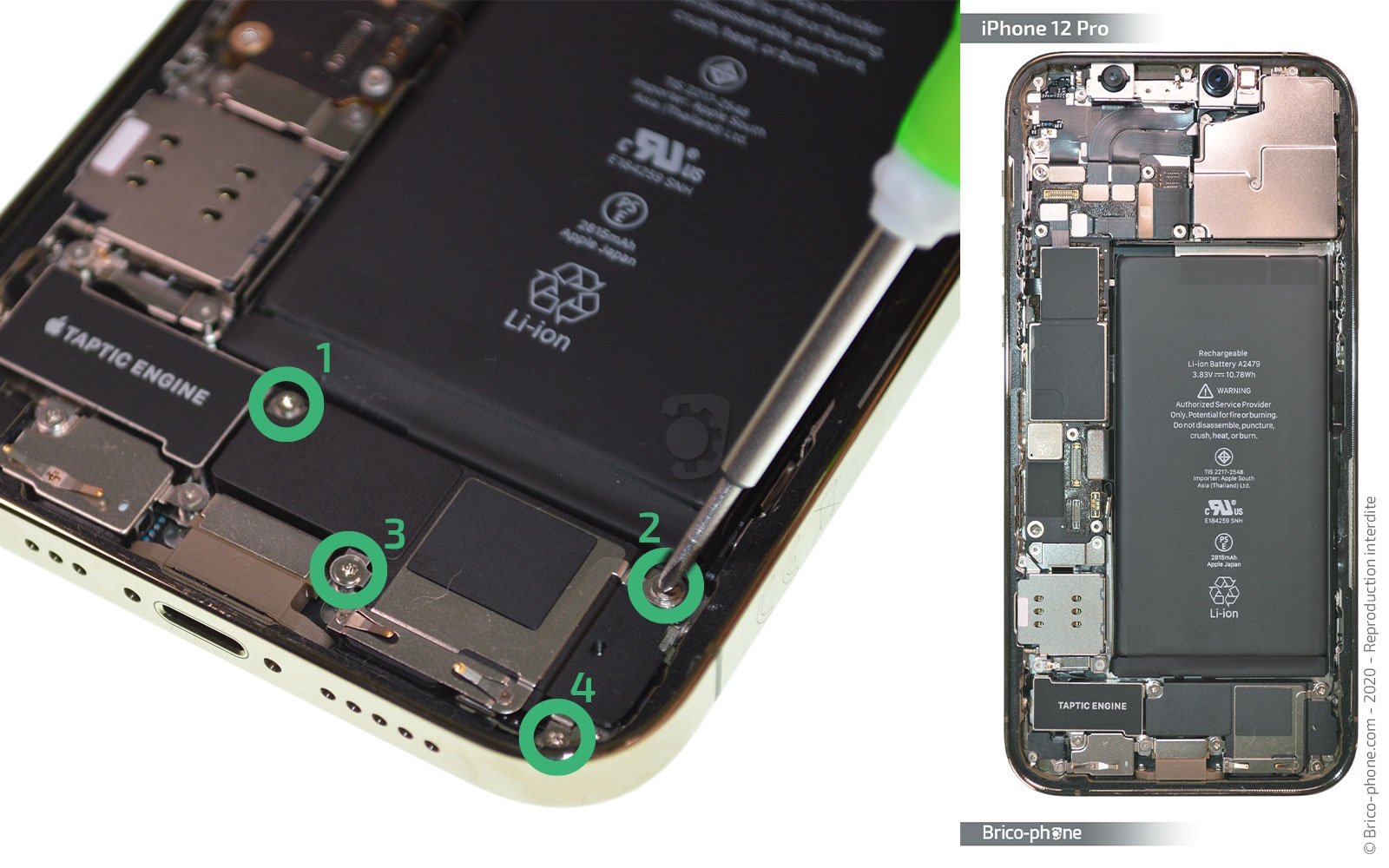 Remplacement du Taptic Engine (vibreur) sur iPhone 12 Pro photo 1