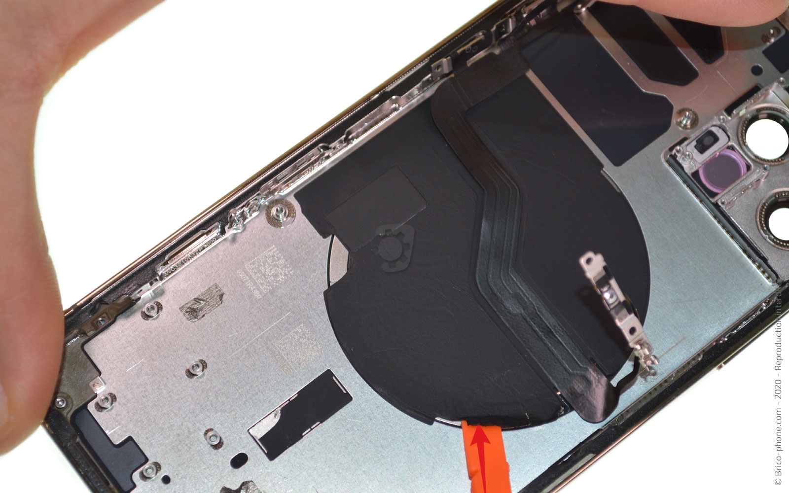 Démontage Complet sur iPhone 12 Pro photo 1