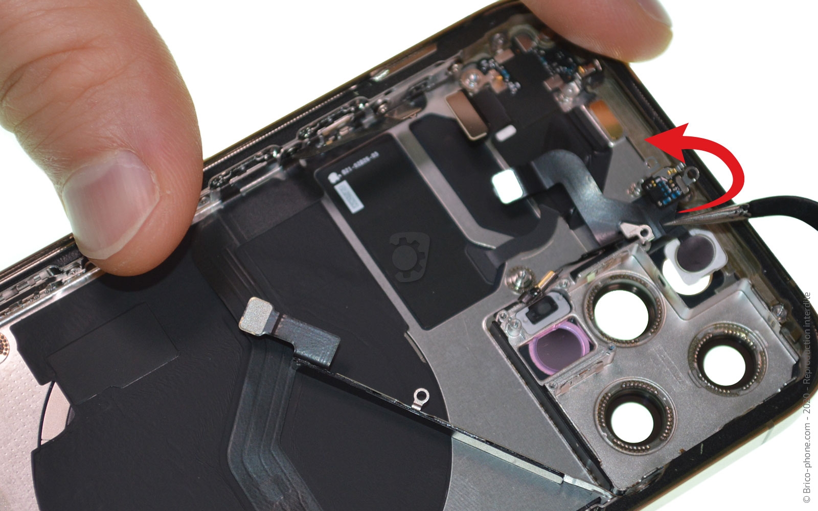 Démontage Complet sur iPhone 12 Pro photo 3