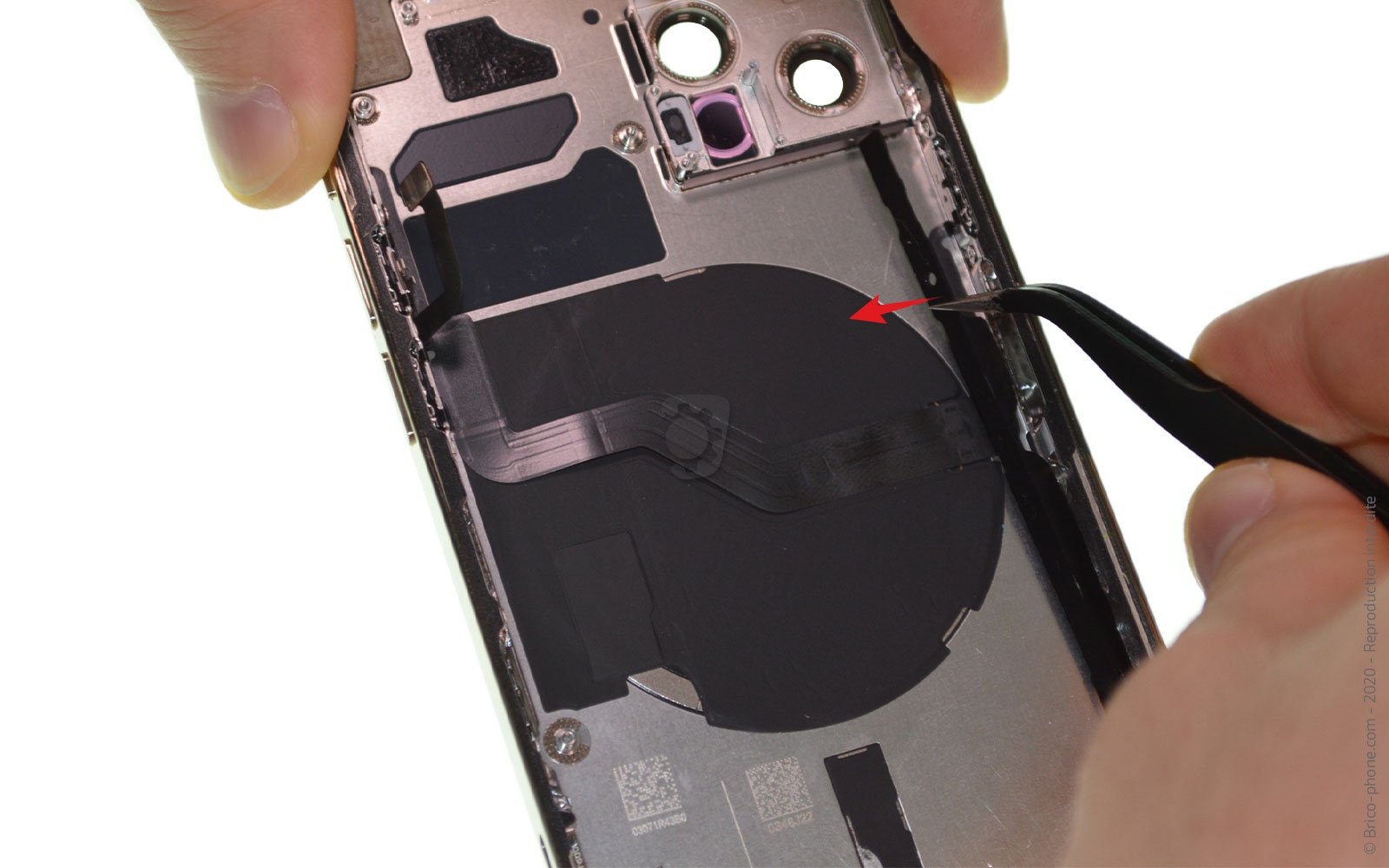 Démontage Complet sur iPhone 12 Pro photo 2