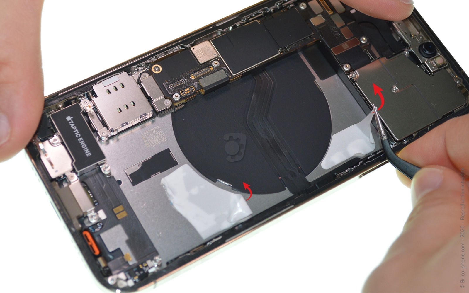 Démontage Complet sur iPhone 12 Pro photo 3