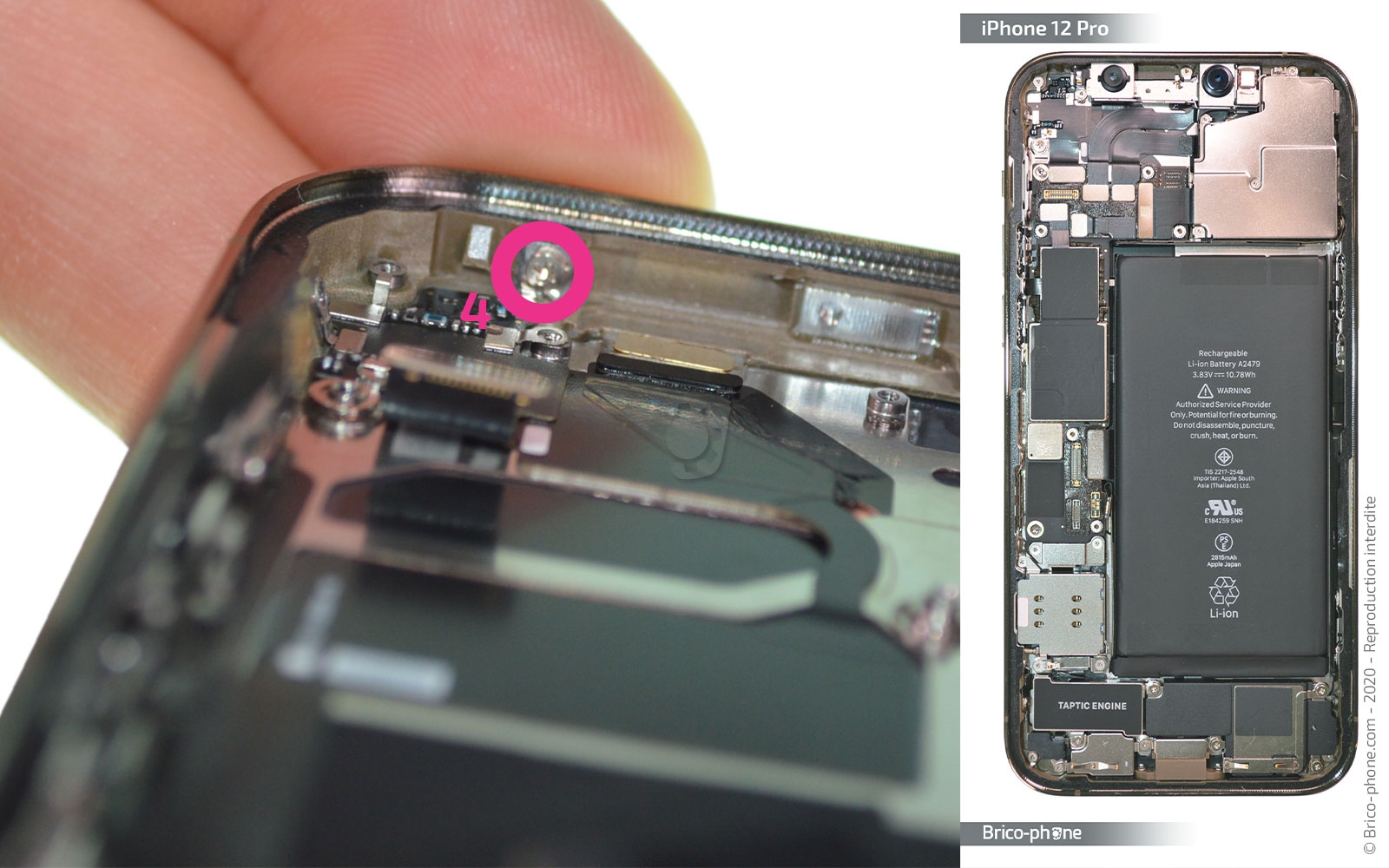 Démontage Complet sur iPhone 12 Pro photo 1