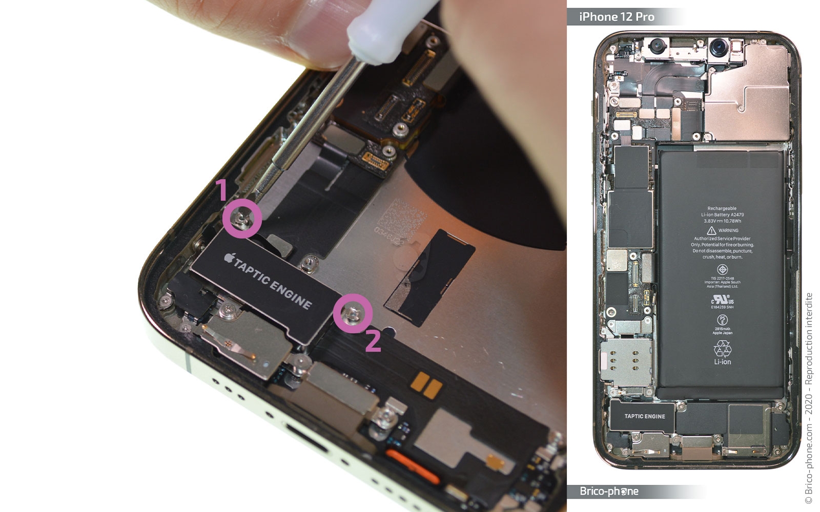 Démontage Complet sur iPhone 12 Pro photo 1