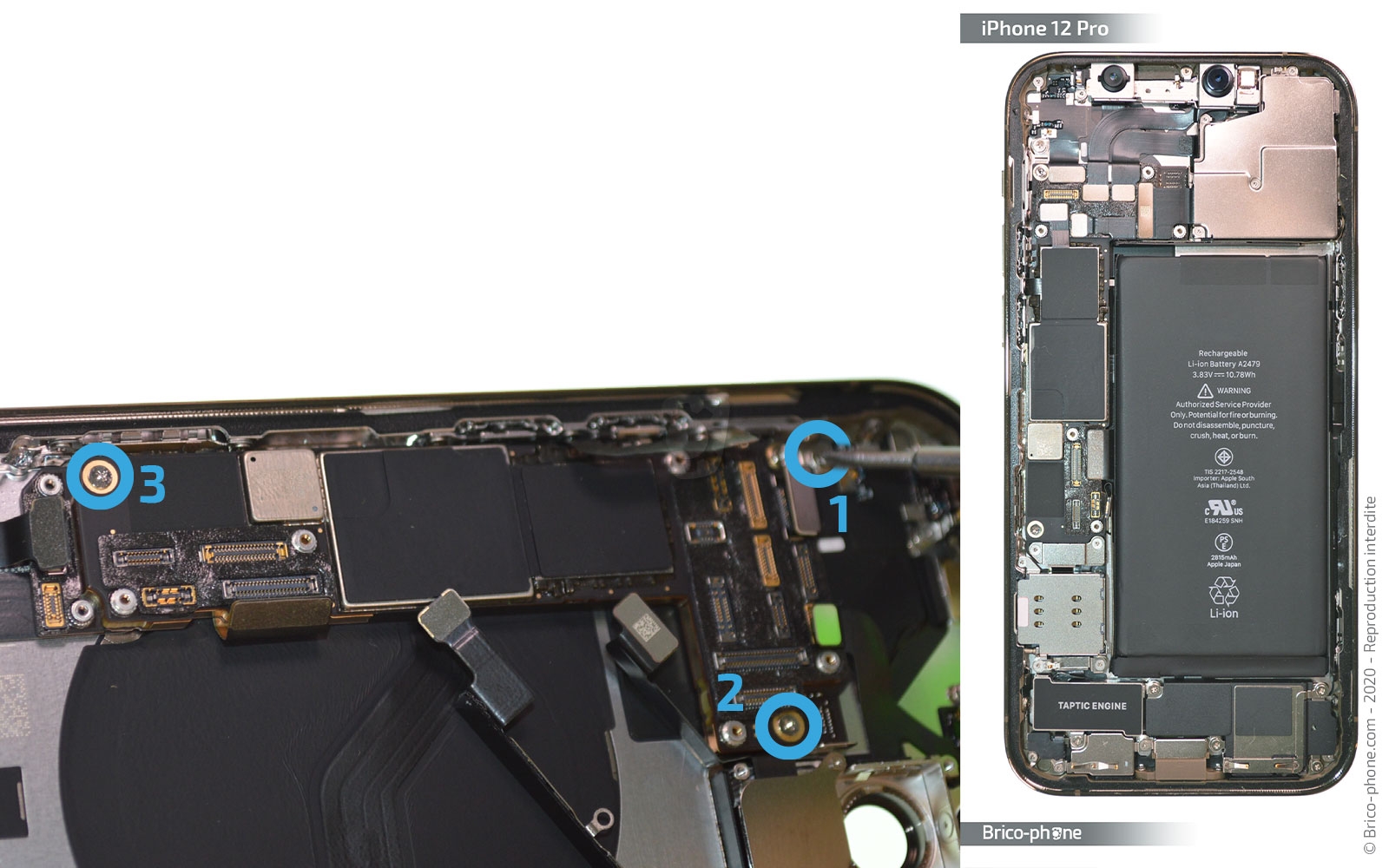 Démontage Complet sur iPhone 12 Pro photo 2