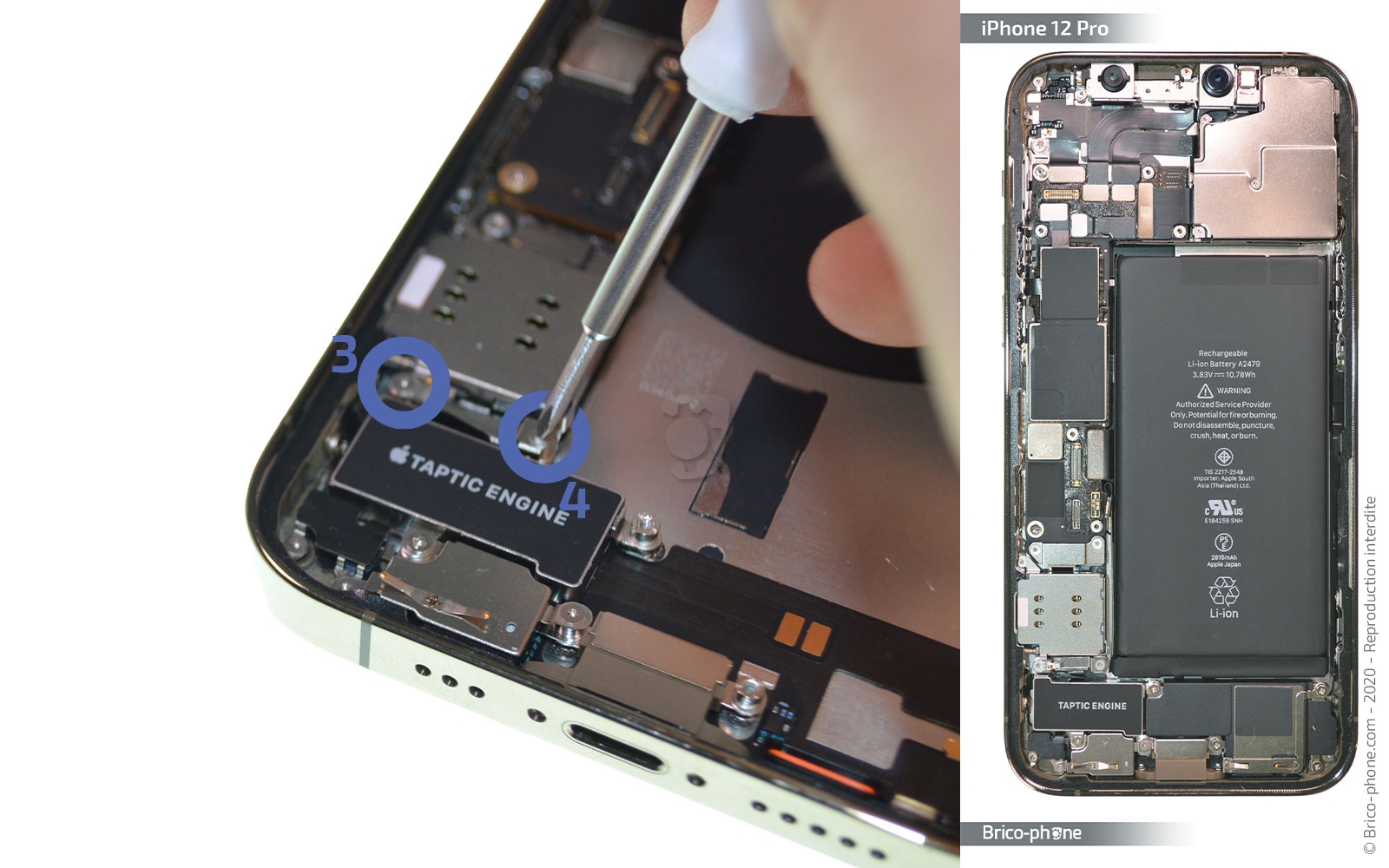 Démontage Complet sur iPhone 12 Pro photo 1