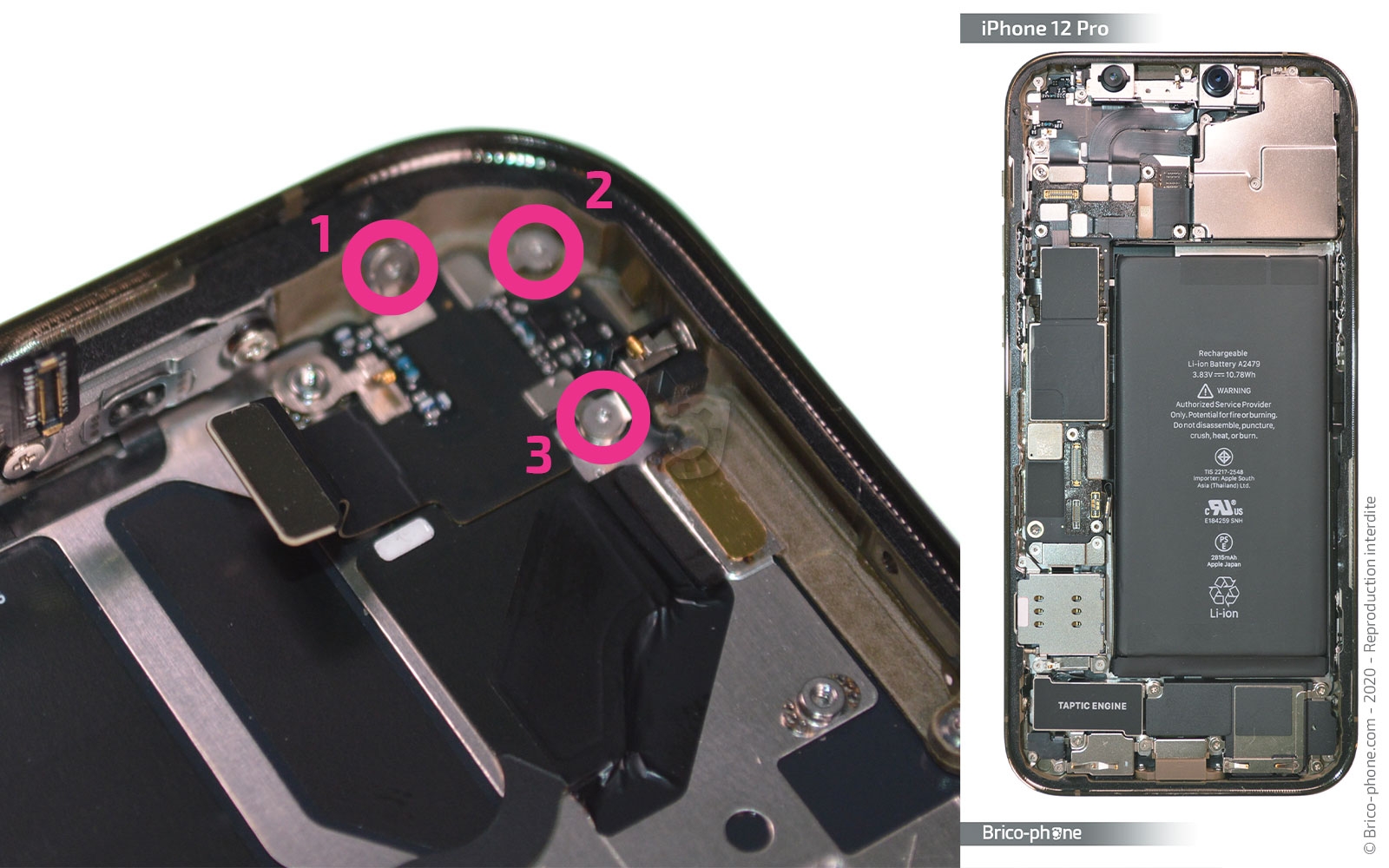 Démontage Complet sur iPhone 12 Pro photo 1