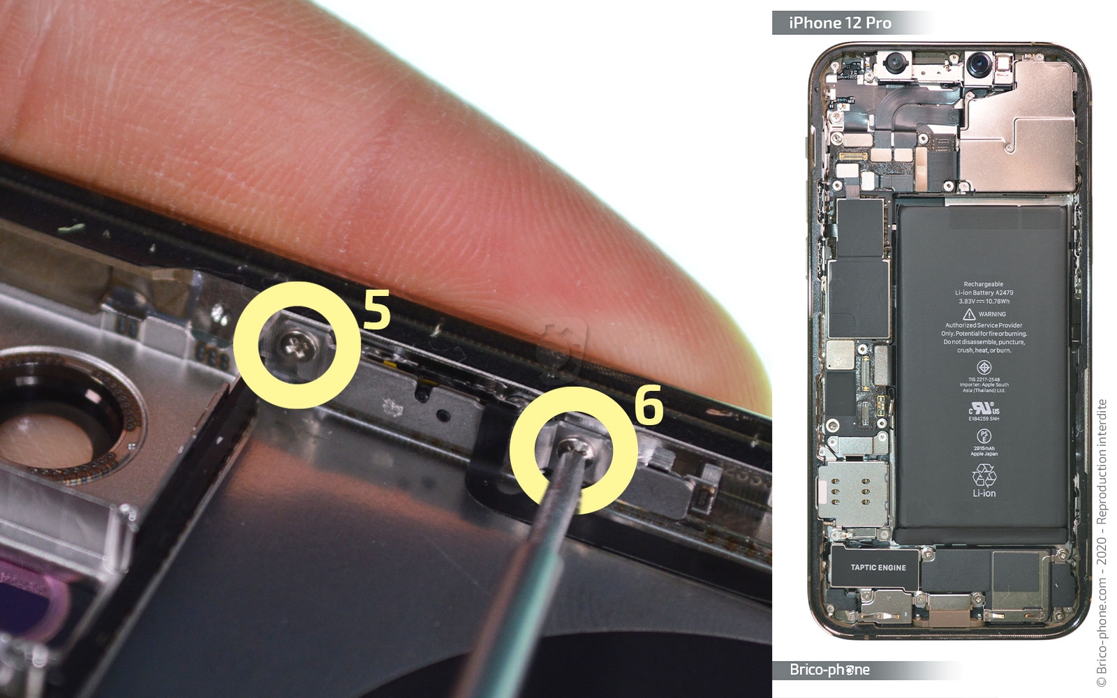 Démontage Complet sur iPhone 12 Pro photo 1