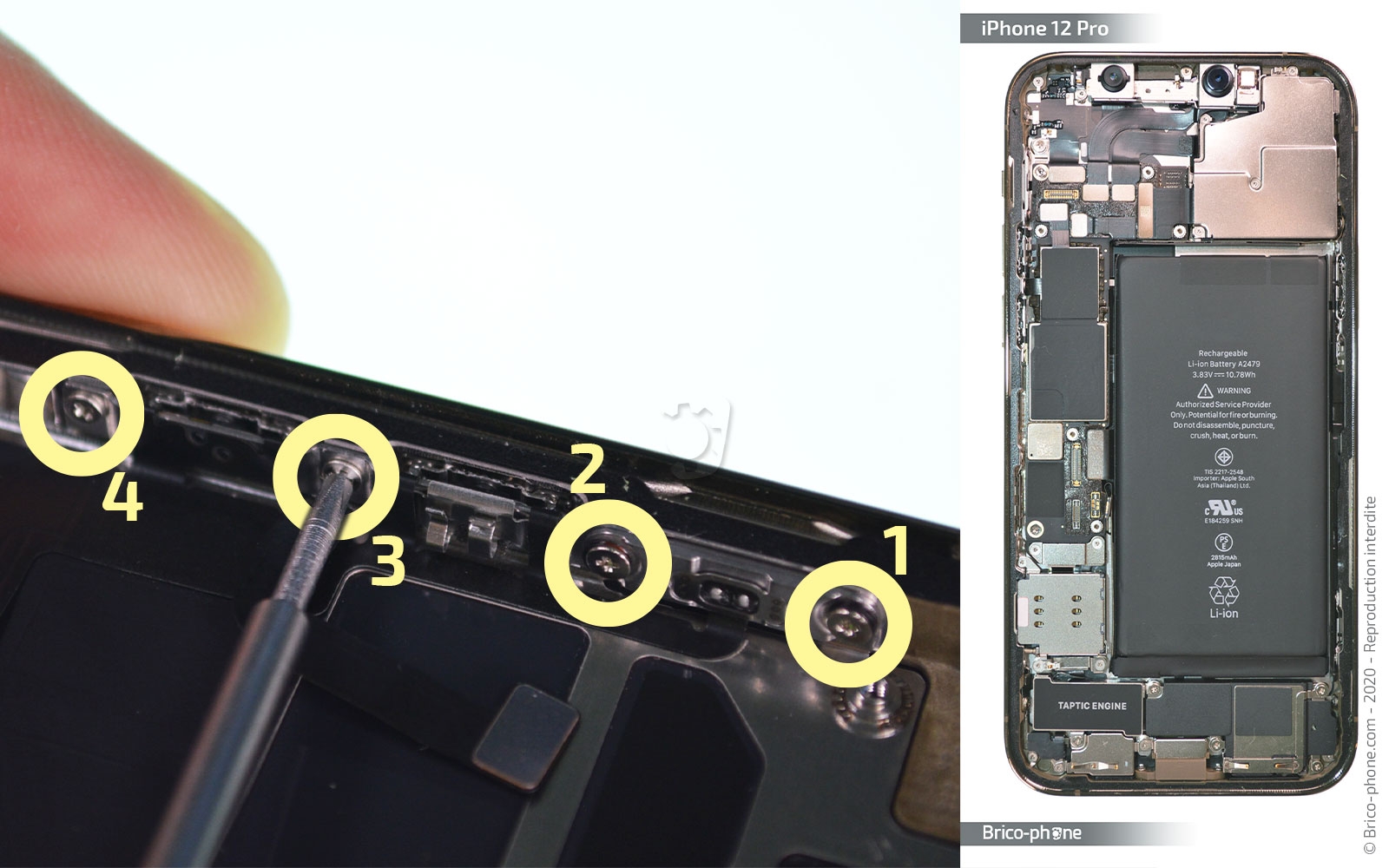 Démontage Complet sur iPhone 12 Pro photo 2