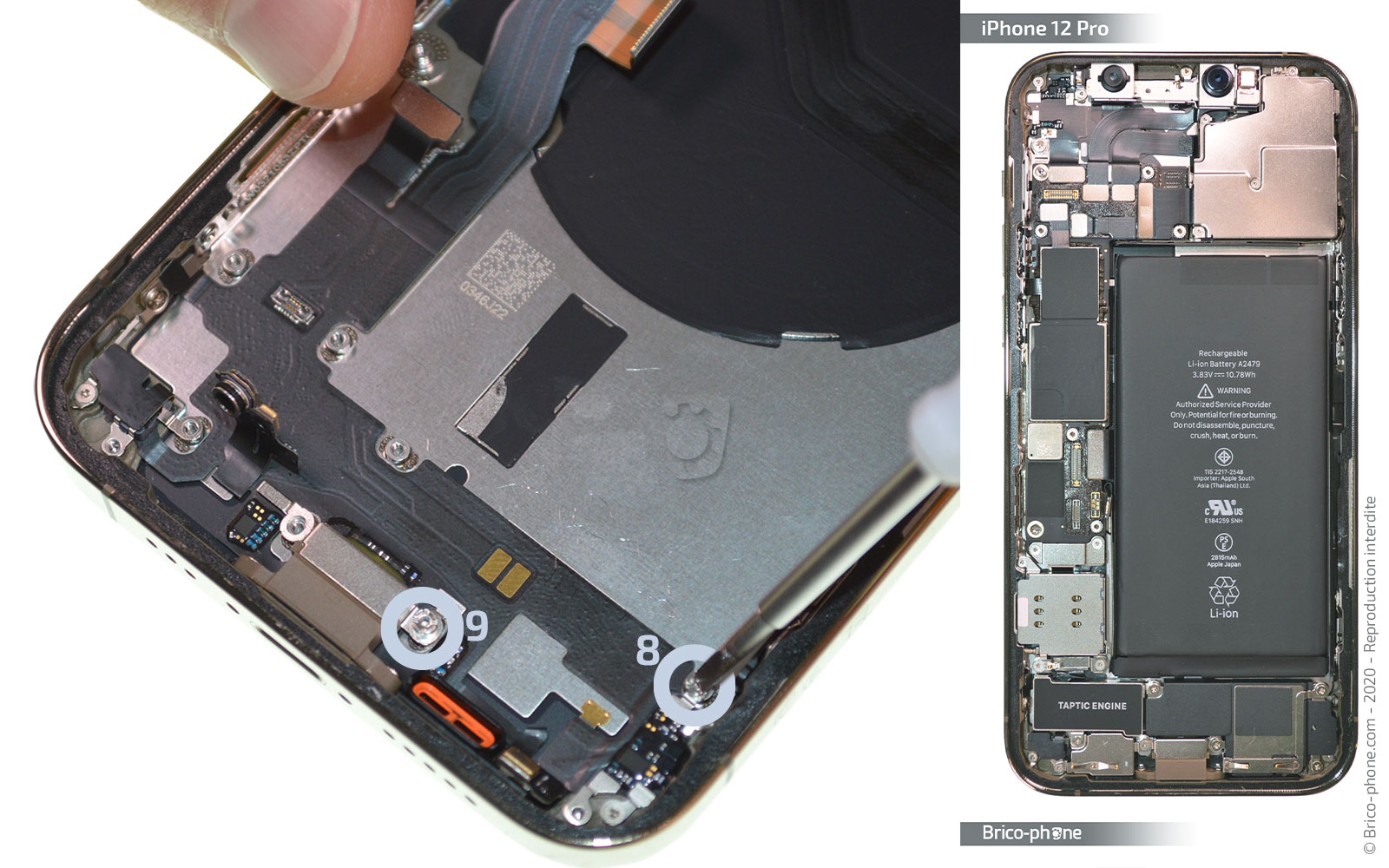 Démontage Complet sur iPhone 12 Pro photo 1