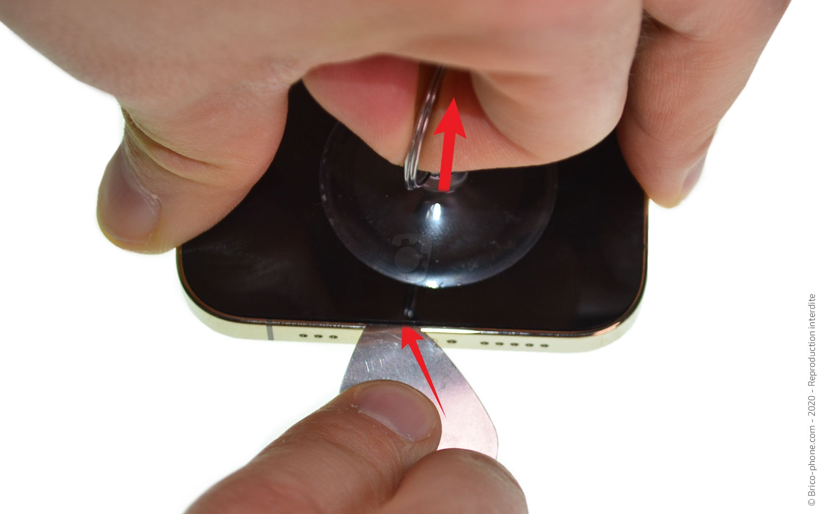 Démontage Complet sur iPhone 12 Pro photo 2