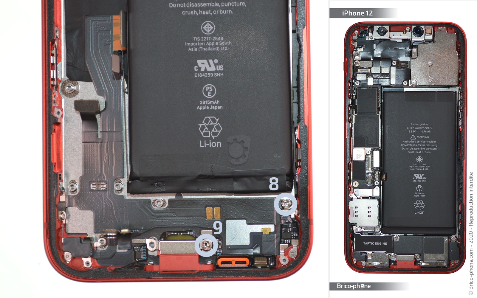 Changement du connecteur de charge sur iPhone 12 photo 1