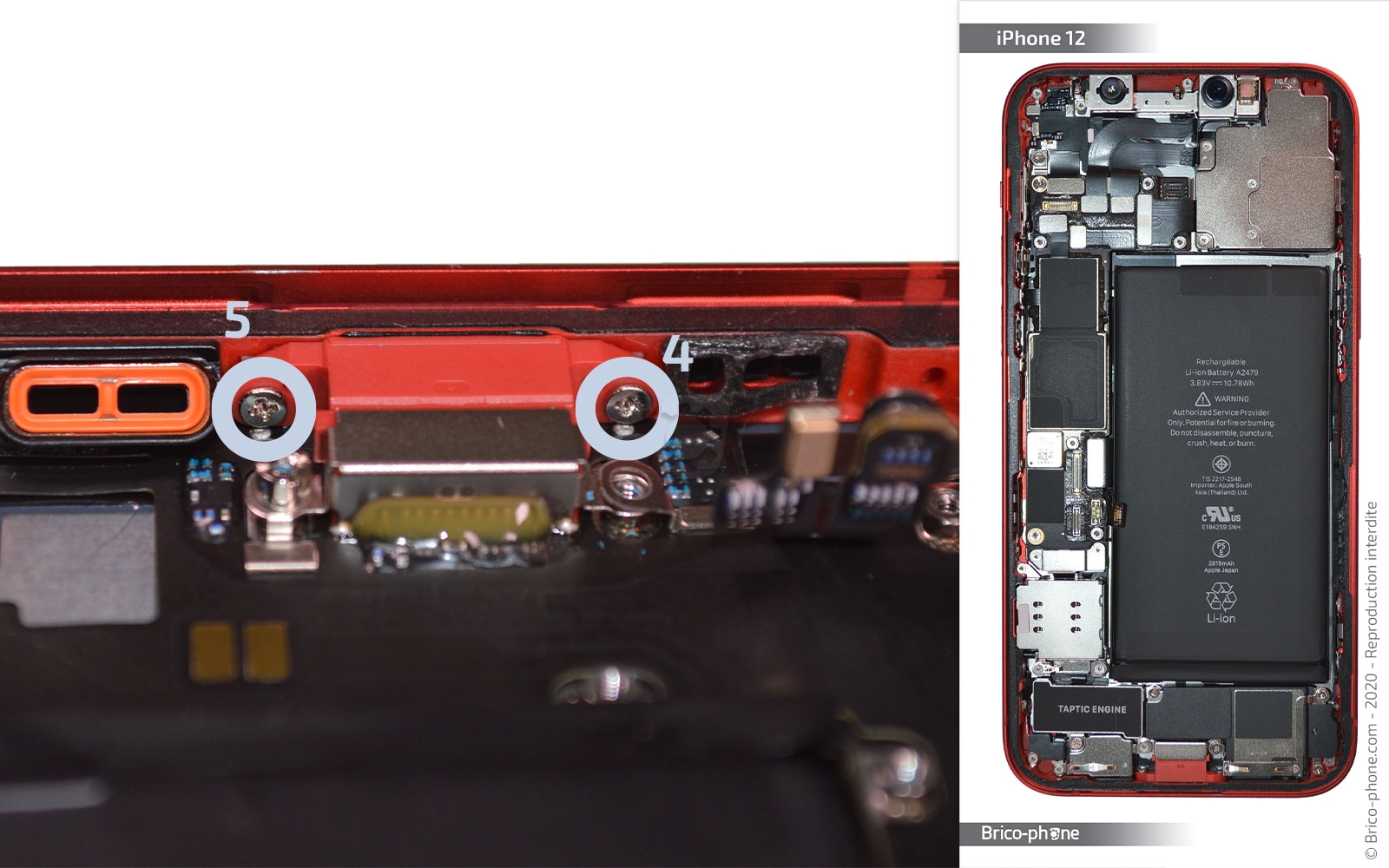 Changement du connecteur de charge sur iPhone 12 photo 2
