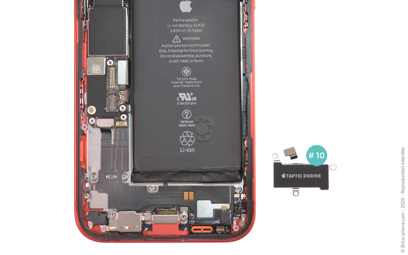 Changement du connecteur de charge sur iPhone 12 photo 4