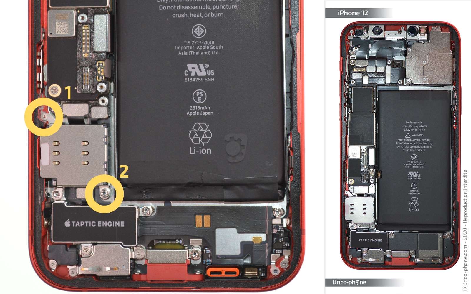 Changement du connecteur de charge sur iPhone 12 photo 1