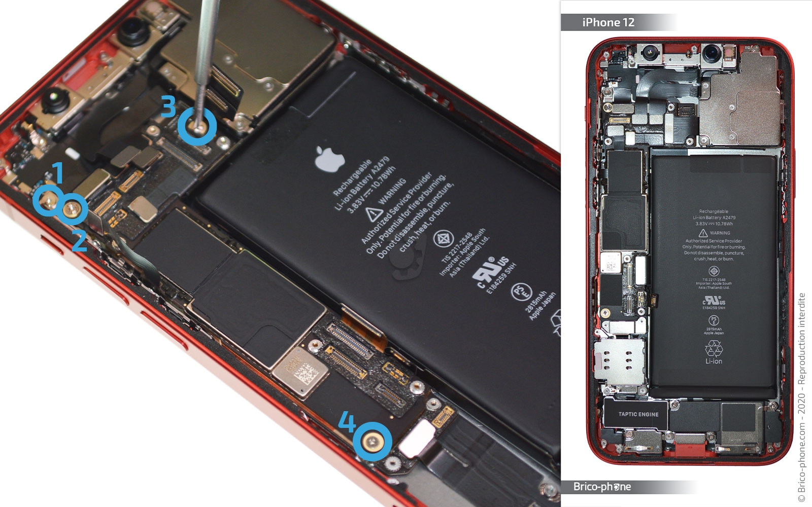 Changement du connecteur de charge sur iPhone 12 photo 1