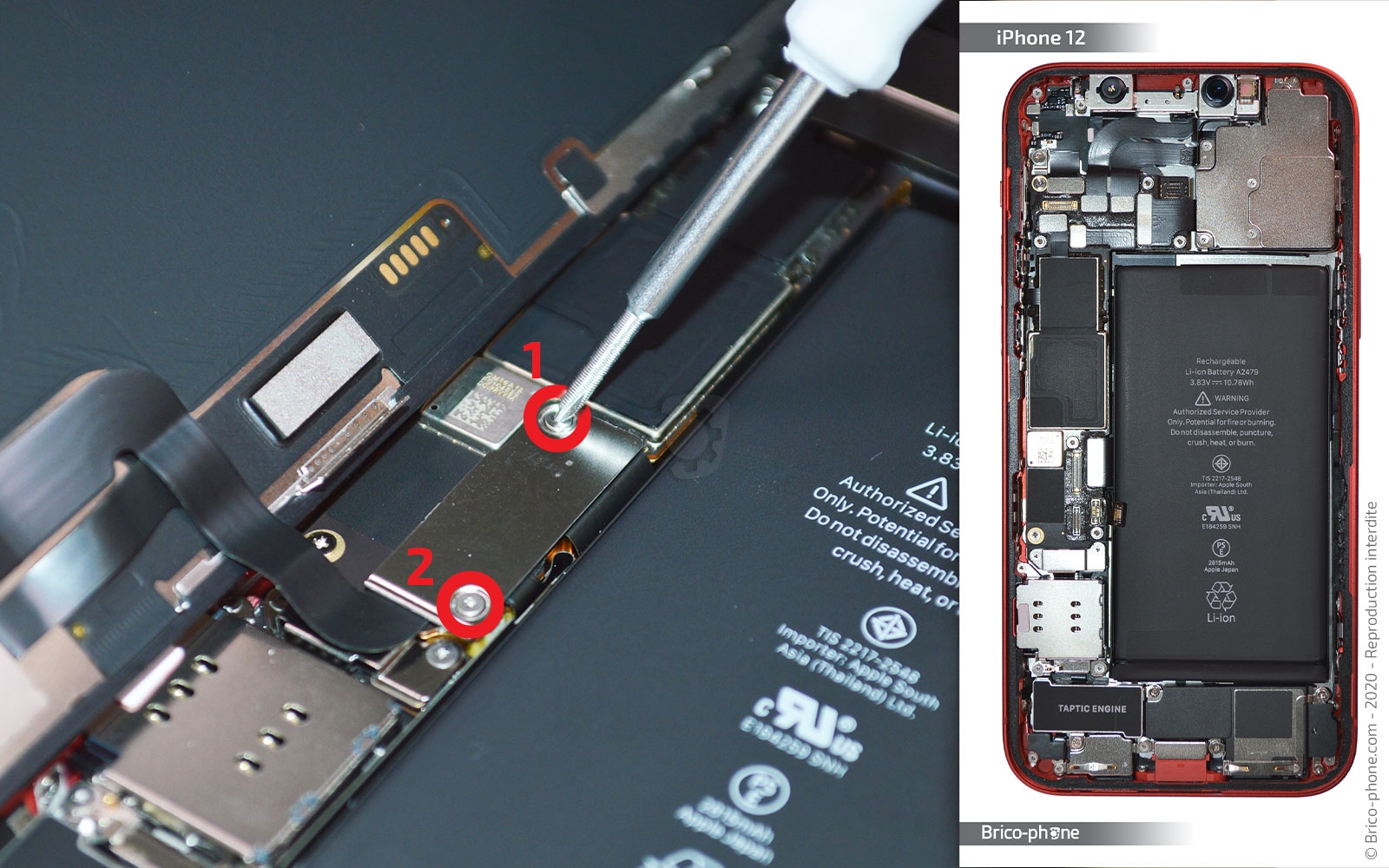 Changement du connecteur de charge sur iPhone 12 photo 1