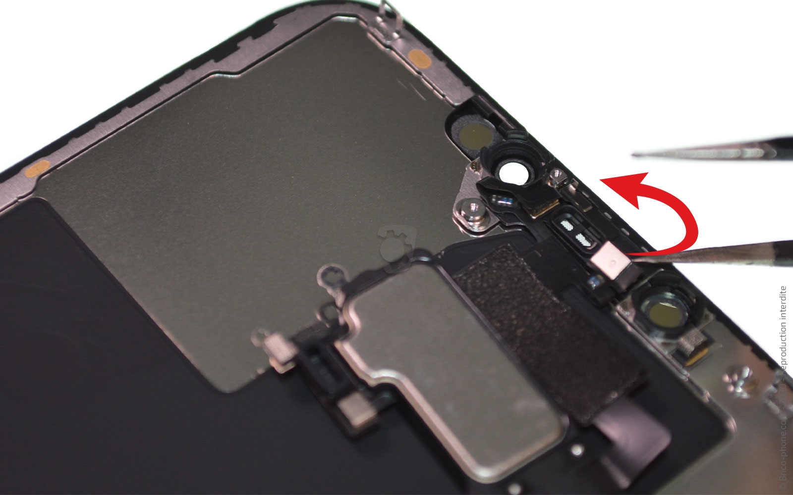 Démontage complet sur iPhone 12 Pro Max photo 1