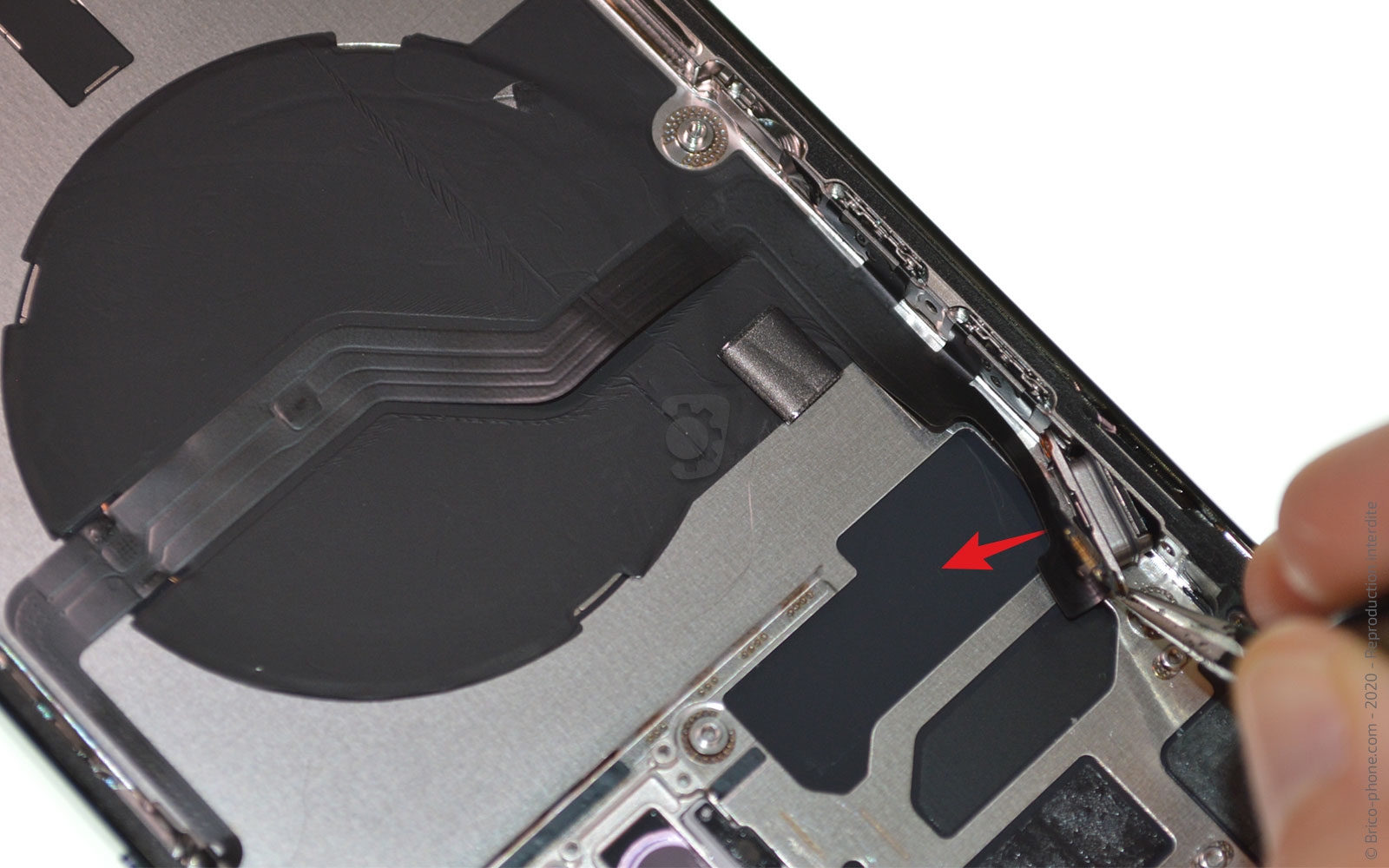 Démontage complet sur iPhone 12 Pro Max photo 3